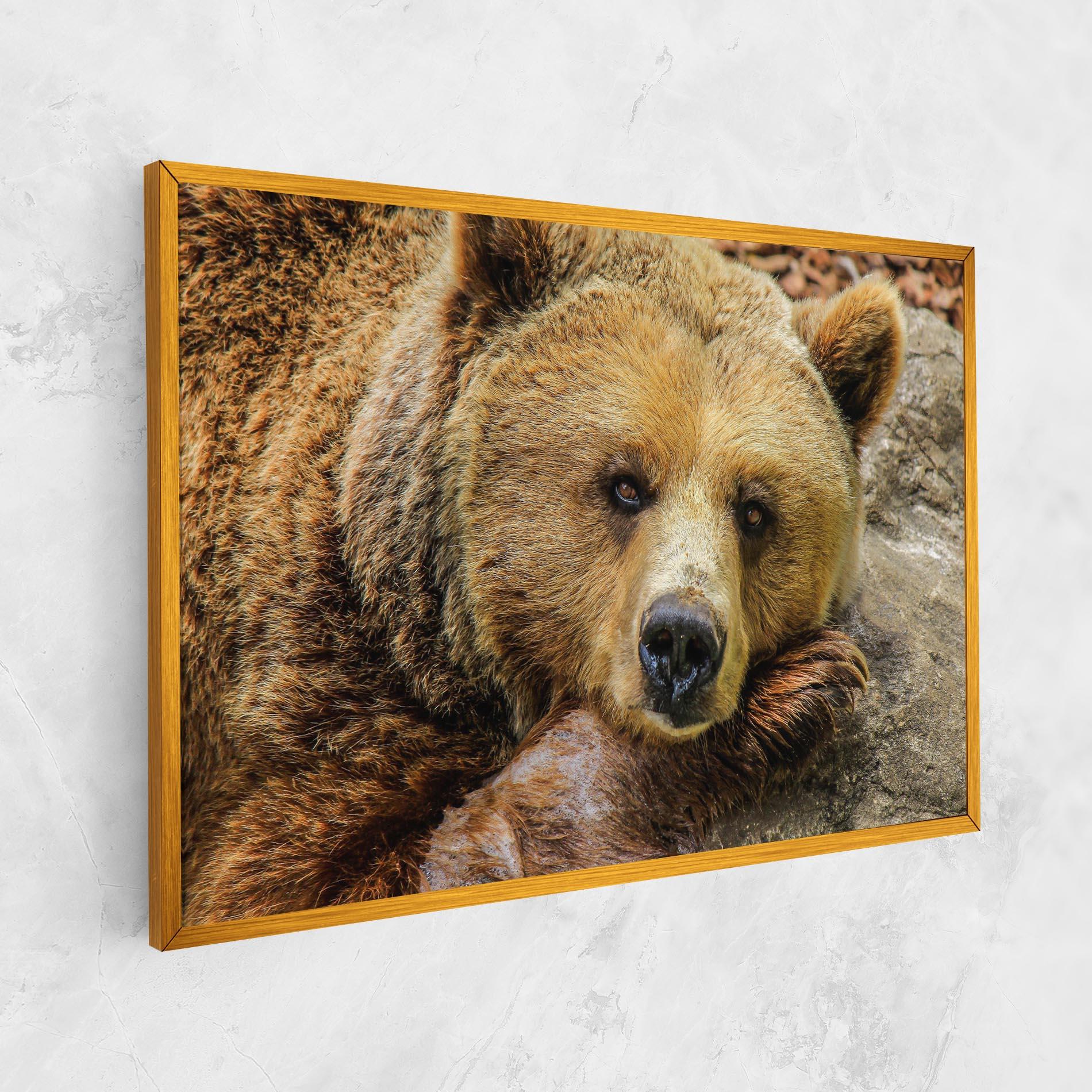 Vászonkép Bear mockup 1