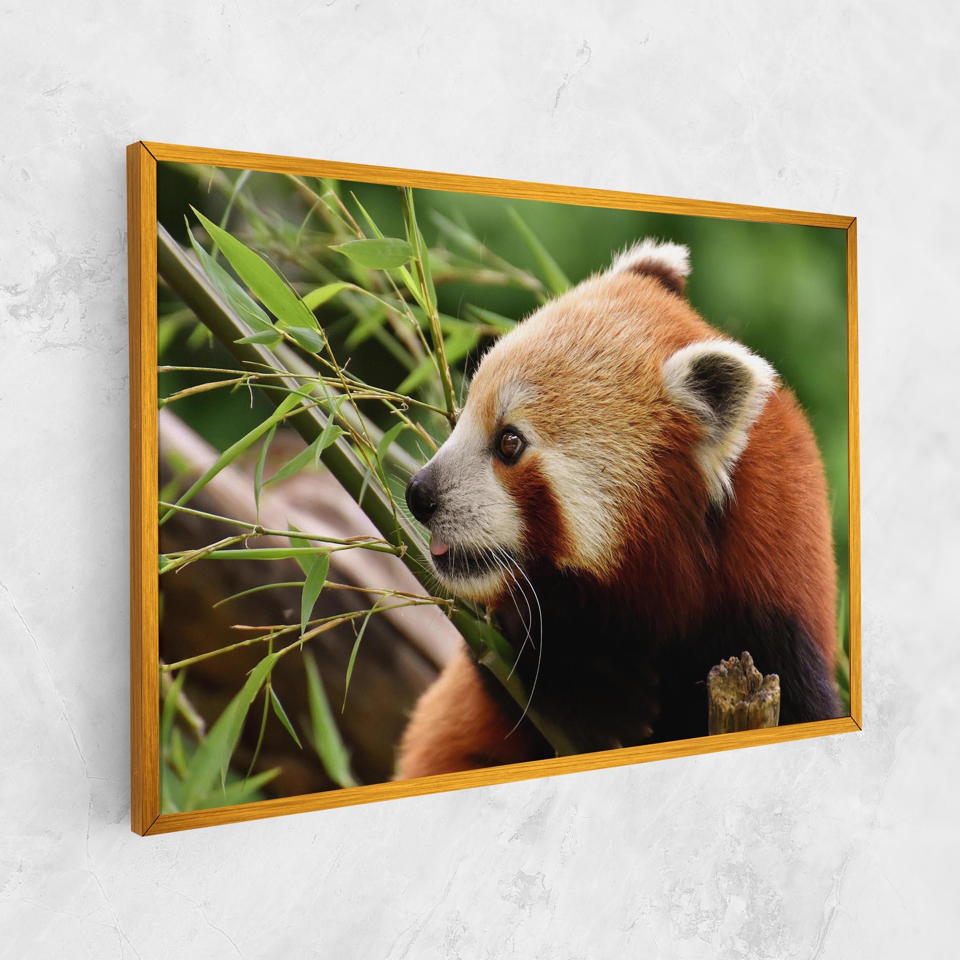 Vászonkép Cute Red Panda mockup 1