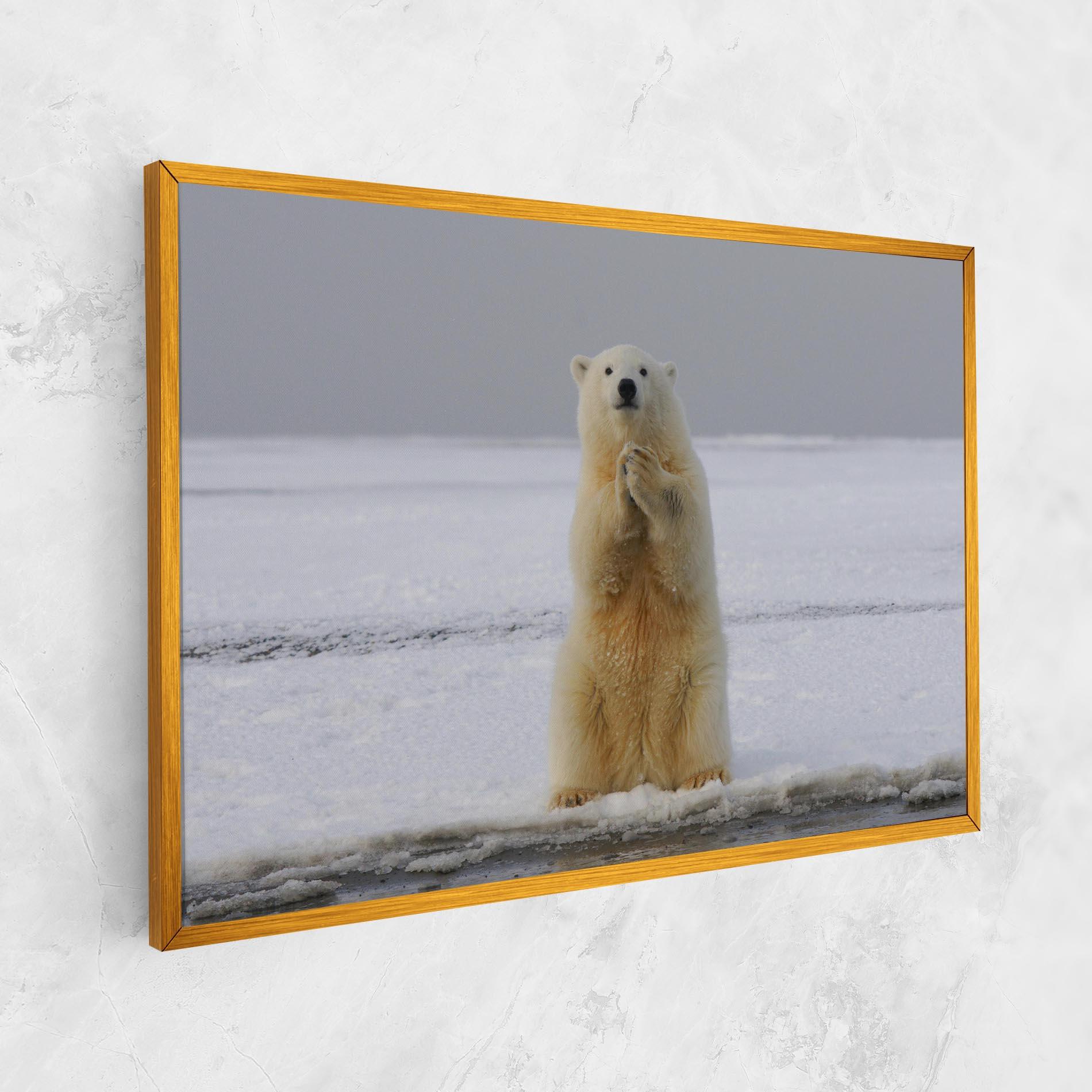 Vászonkép Icebear Praying mockup 1