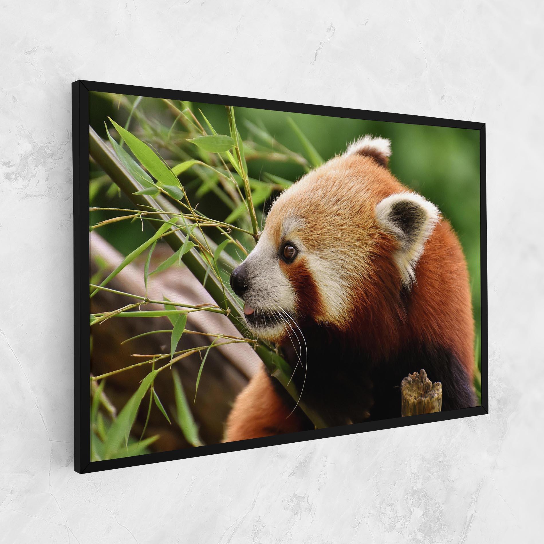 Vászonkép Cute Red Panda mockup 1