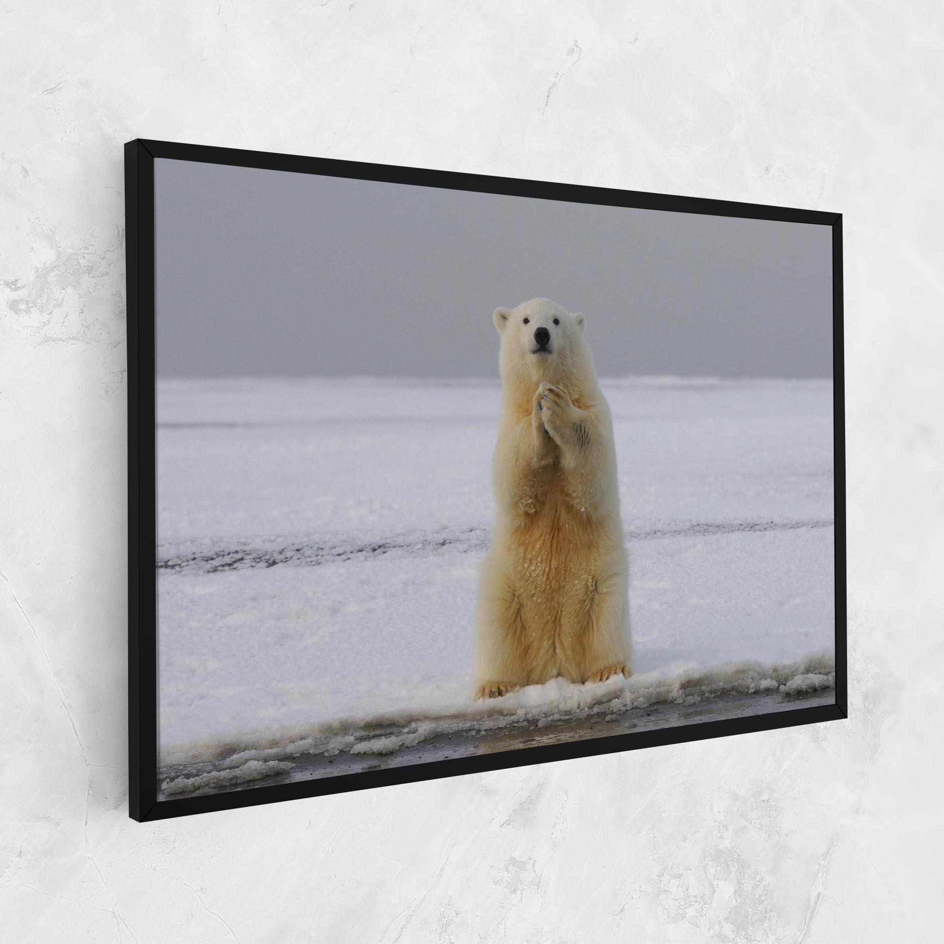 Vászonkép Icebear Praying mockup 1