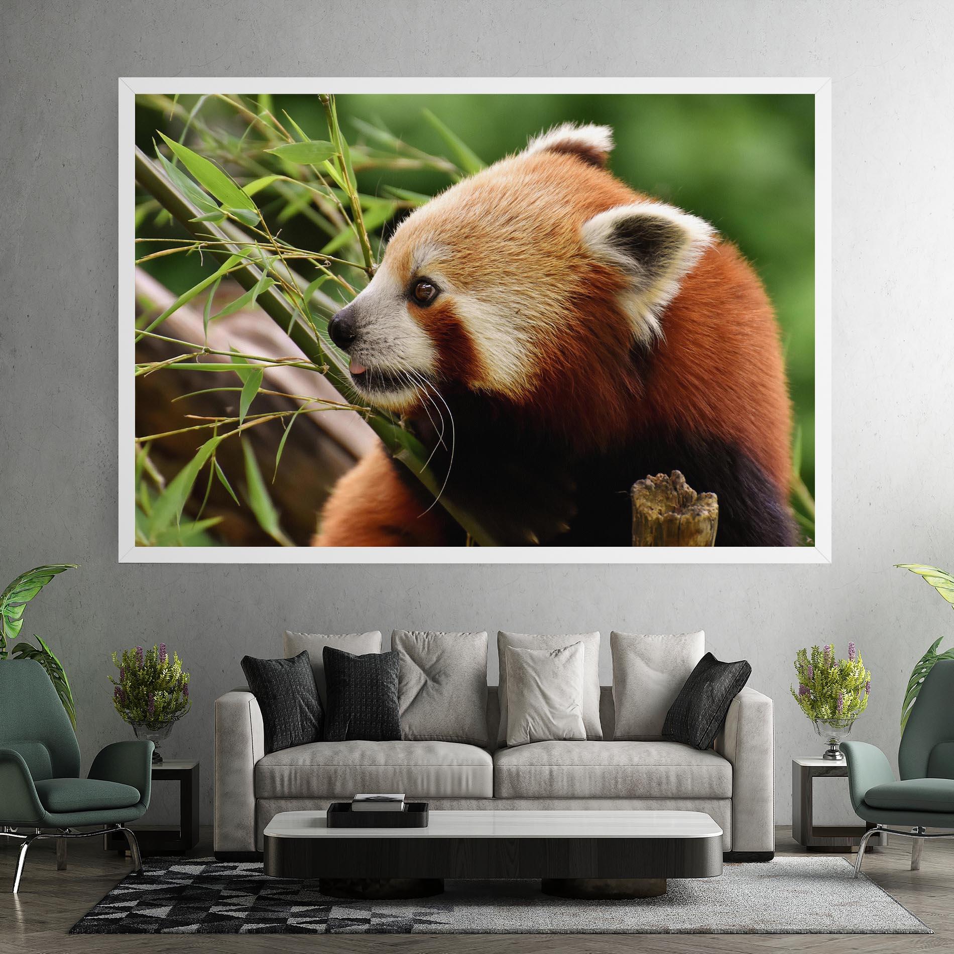 Vászonkép Cute Red Panda mockup 7