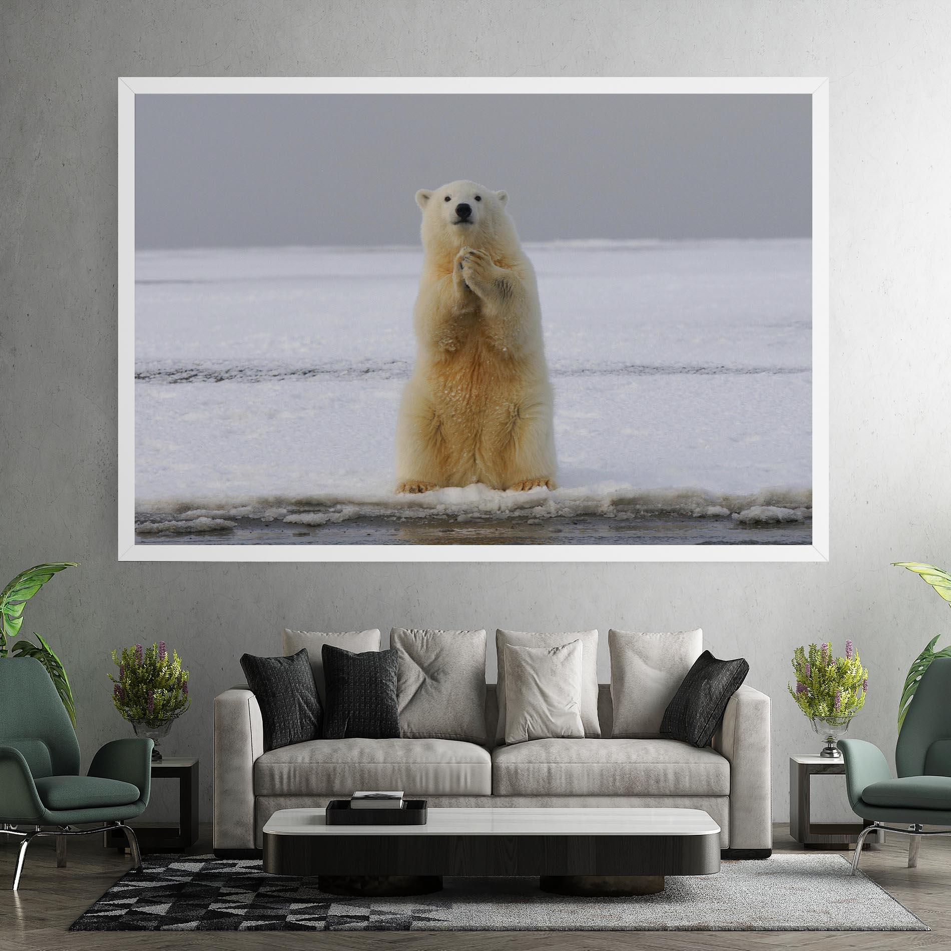 Vászonkép Icebear Praying mockup 7