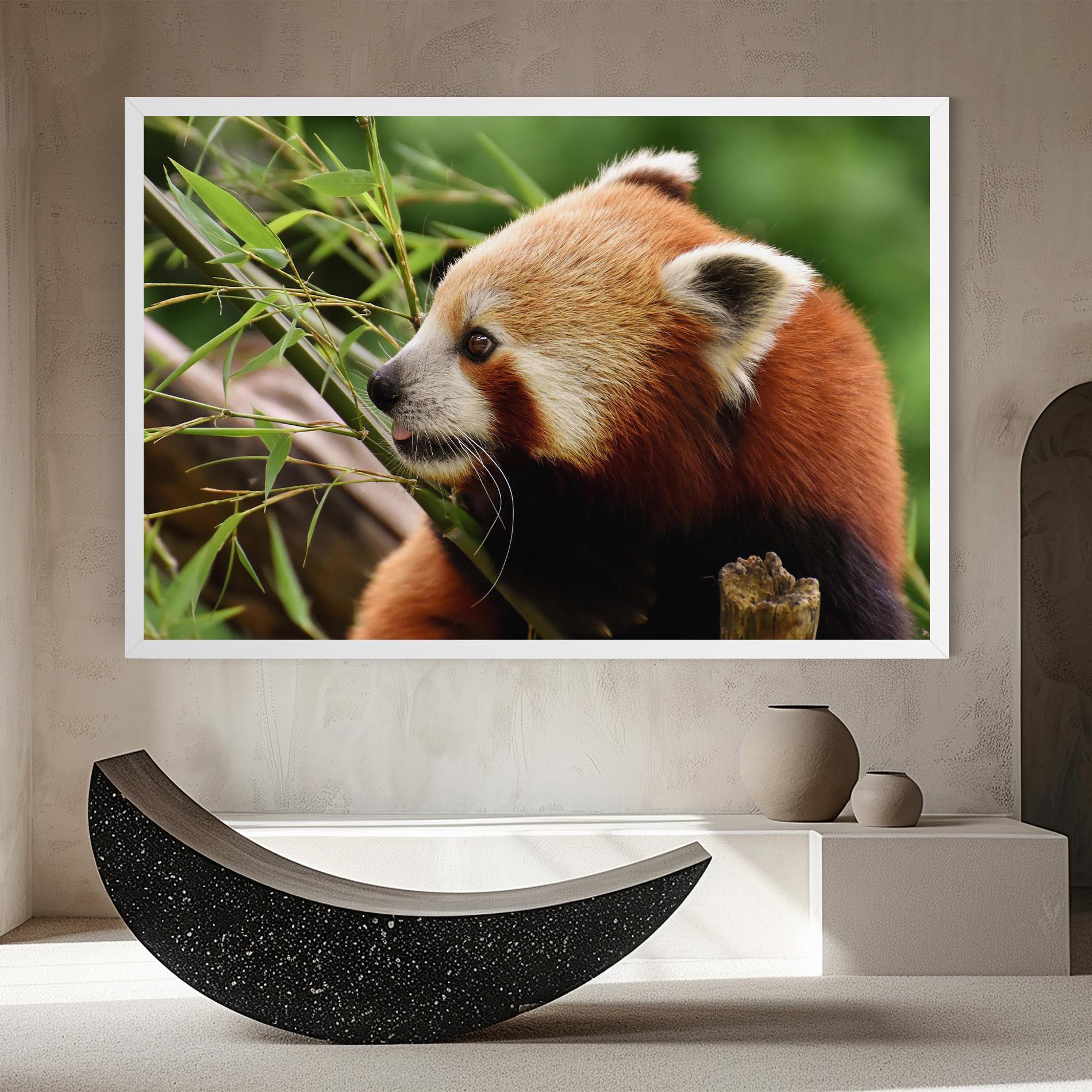 Vászonkép Cute Red Panda mockup 8