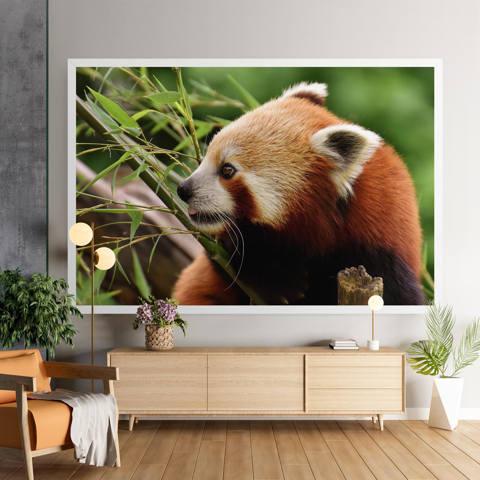 Vászonkép Cute Red Panda mockup 9