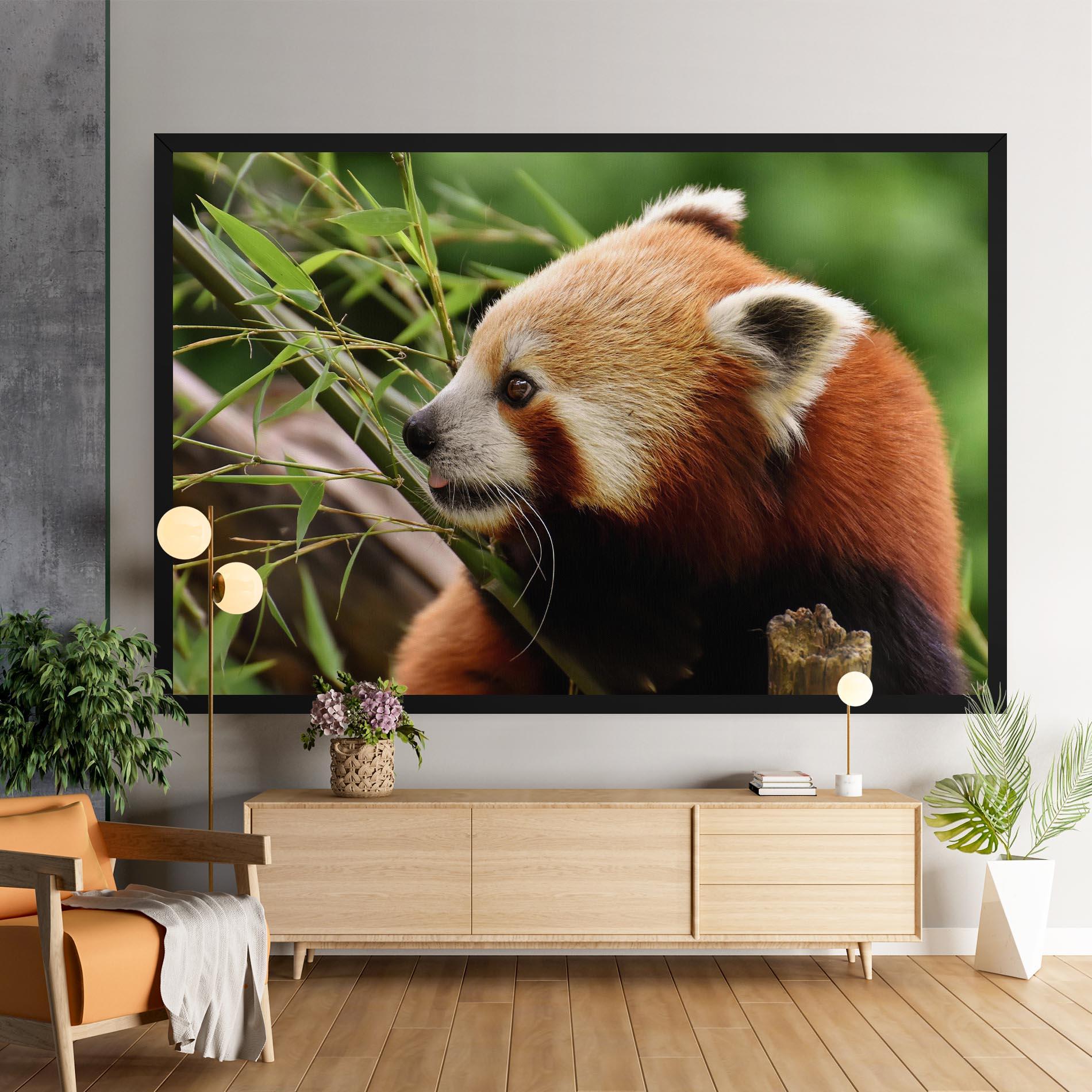 Vászonkép Cute Red Panda mockup 9