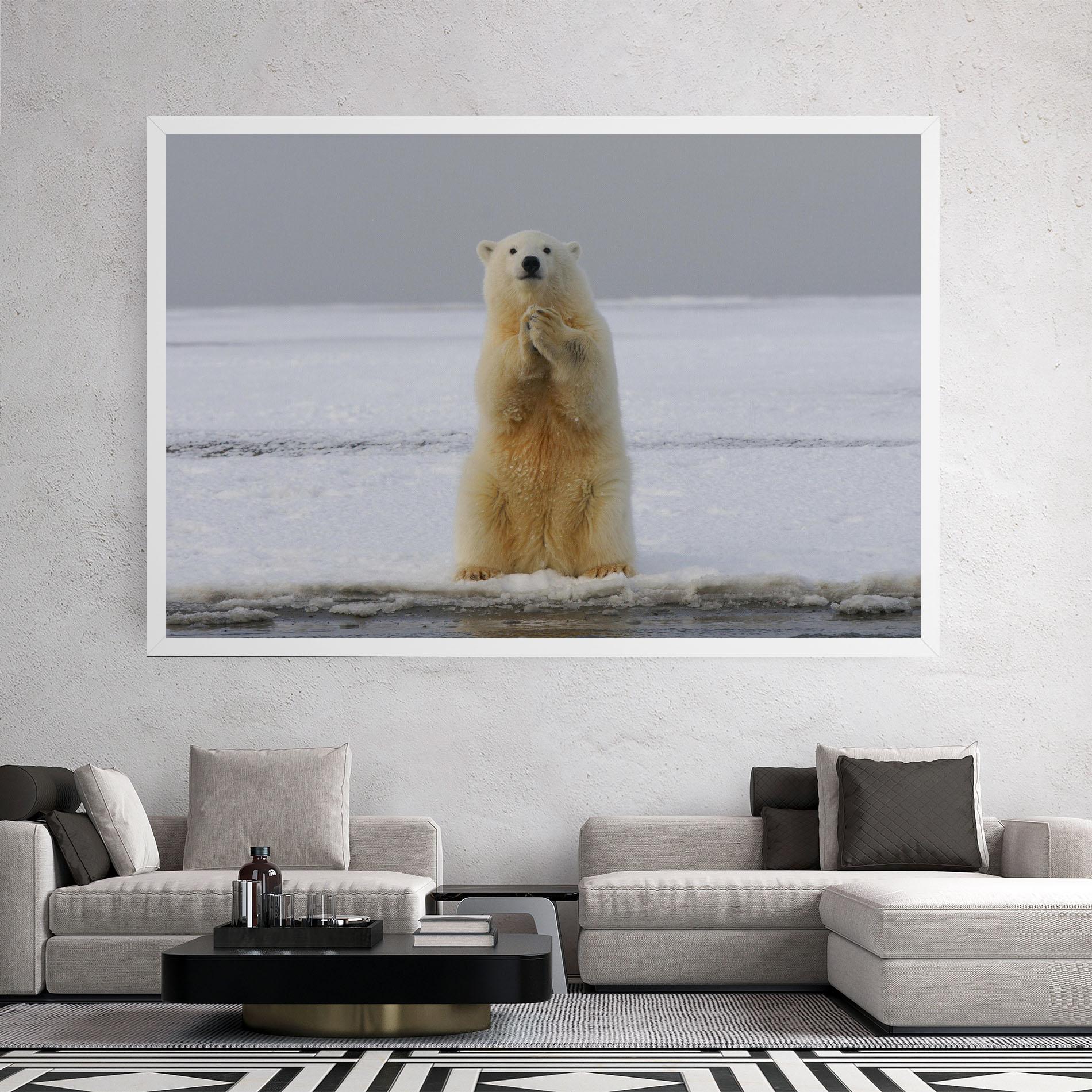 Vászonkép Icebear Praying mockup 2