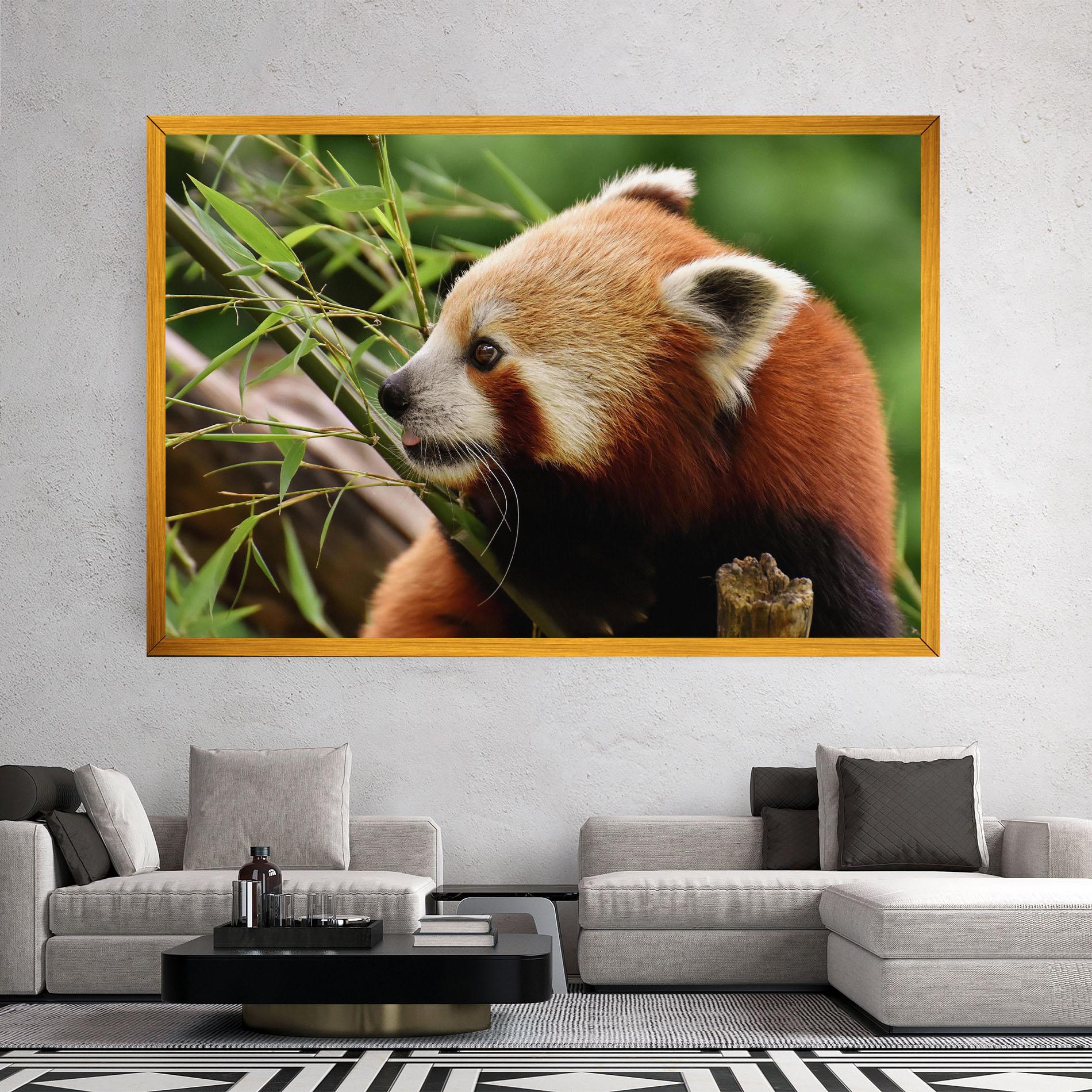 Vászonkép Cute Red Panda mockup 2