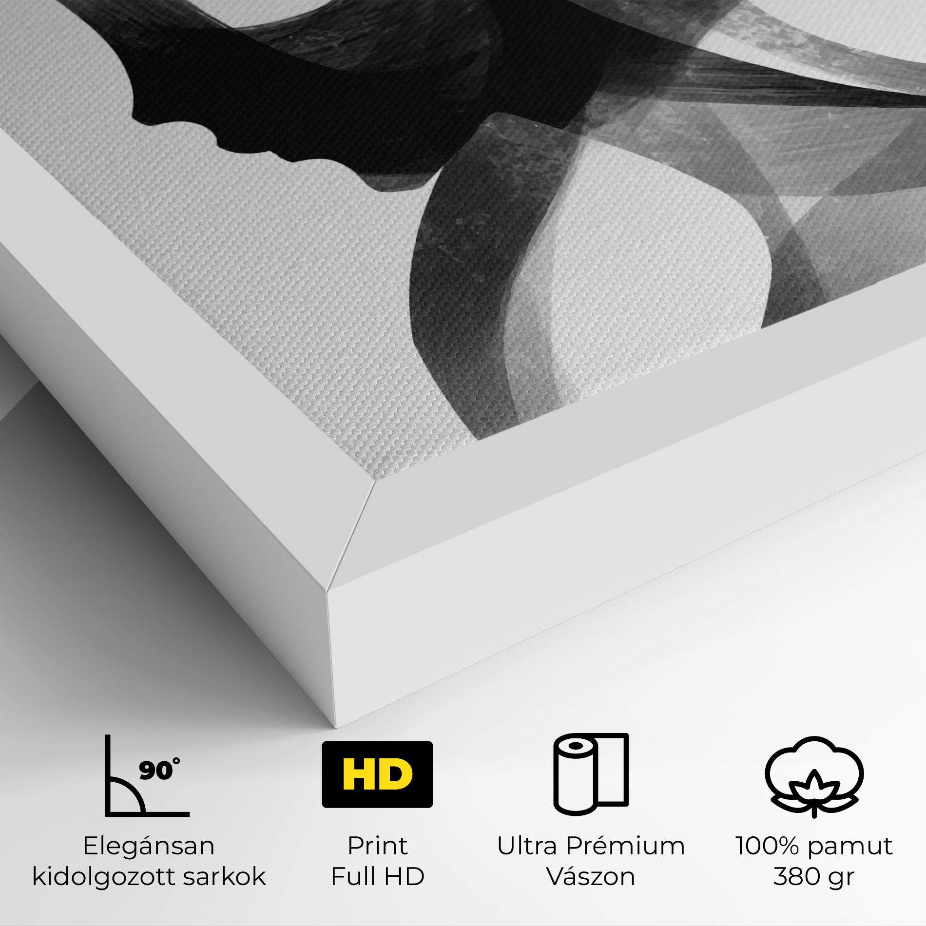 Vászonkép Abstract Grey Couple mockup 4