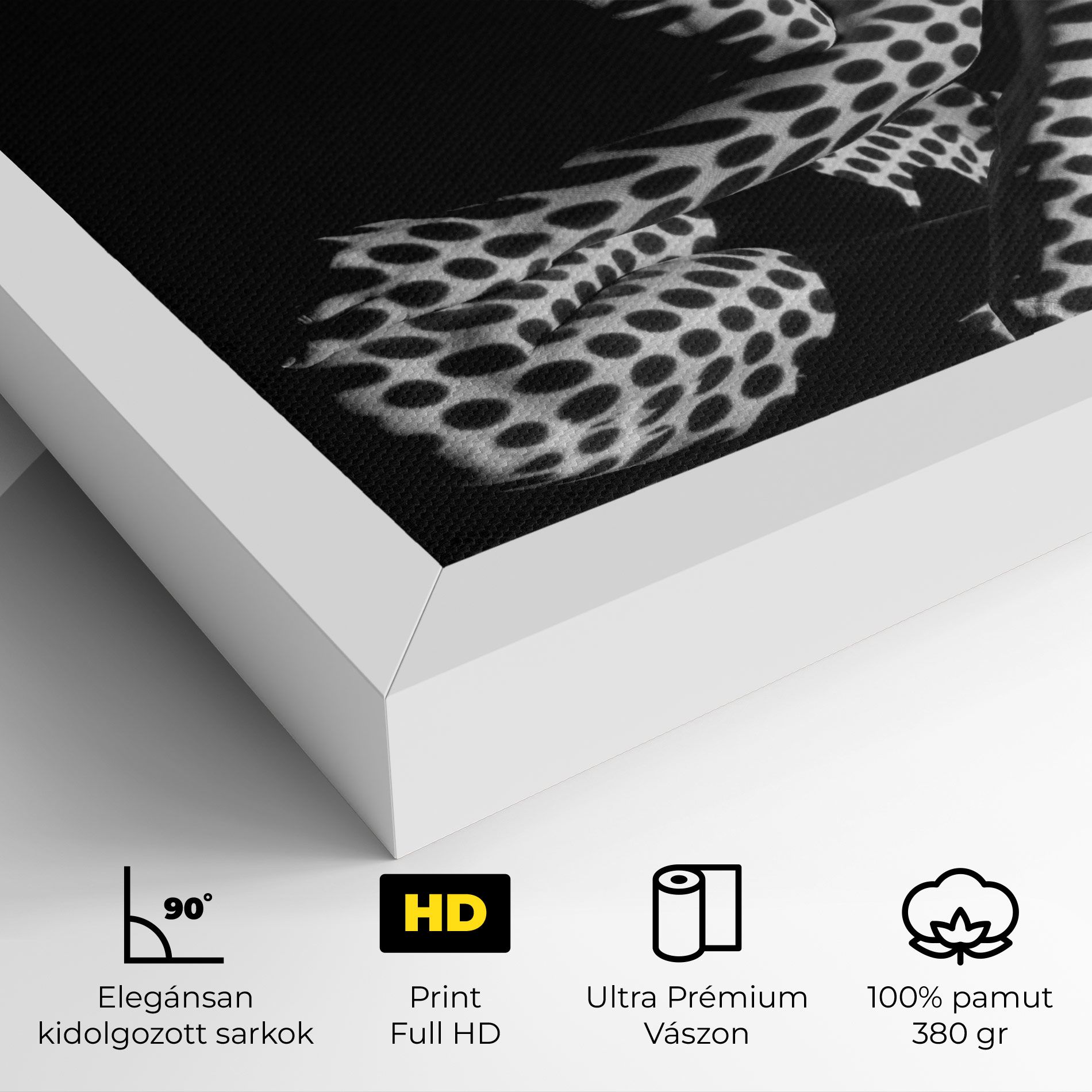 Black White Pattern Woman mockup 4