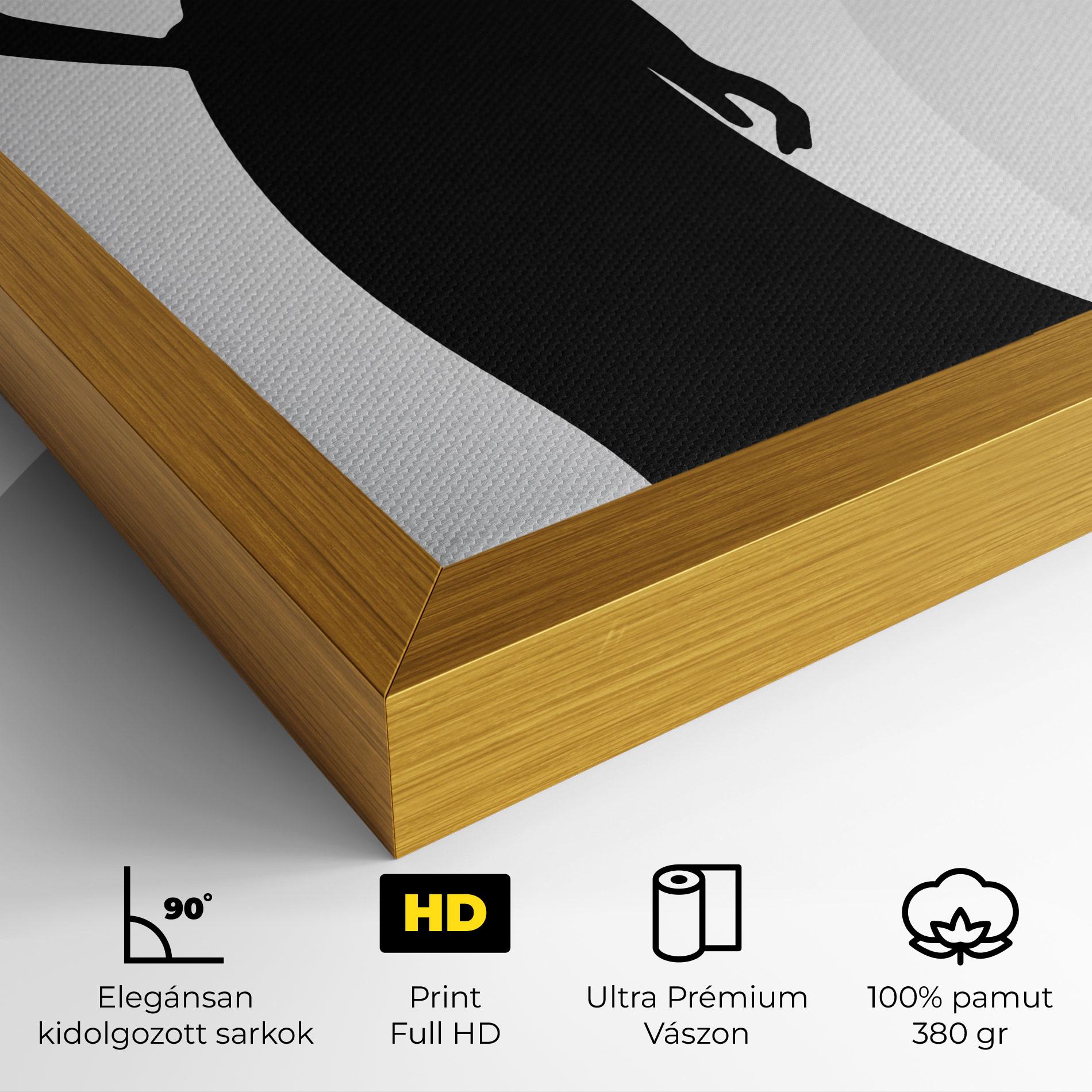 Vászonkép Silhouette Lady mockup 4