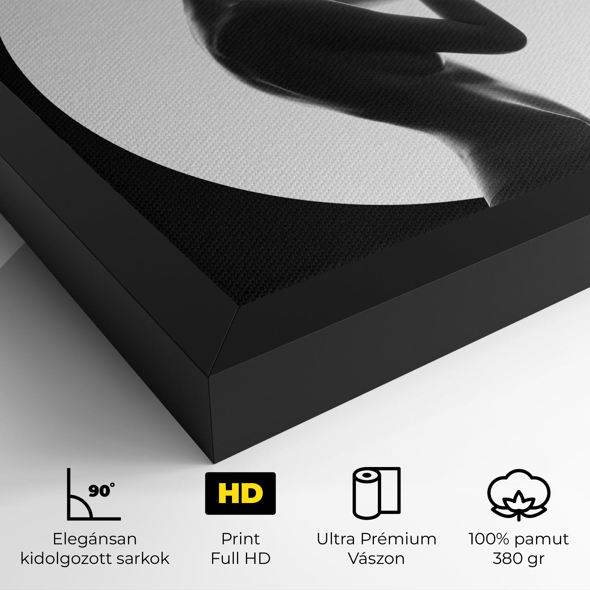 Vászonkép Circle Woman Body mockup 4