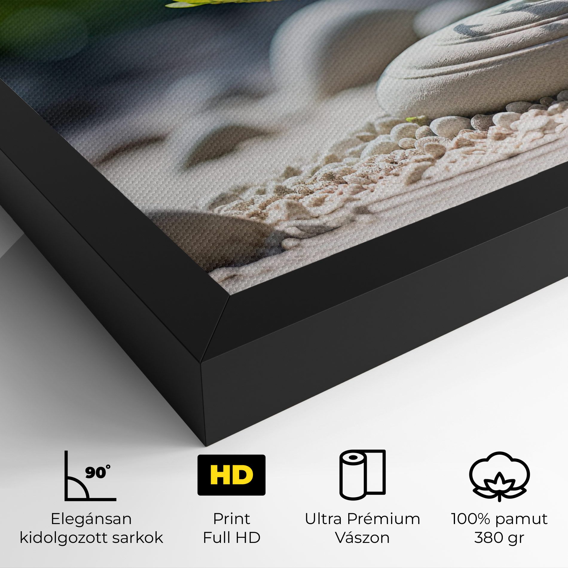 White Pebbles Plants mockup 4