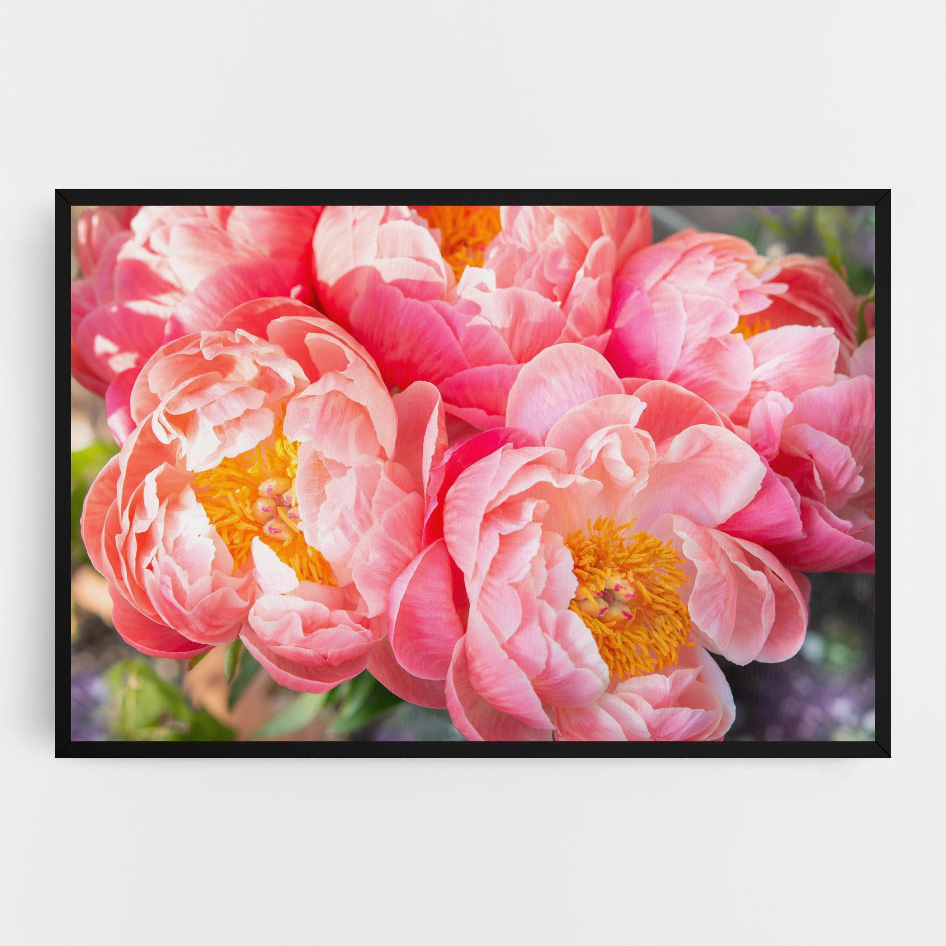 Vászonkép Opened Peonies Bouquet mockup 0