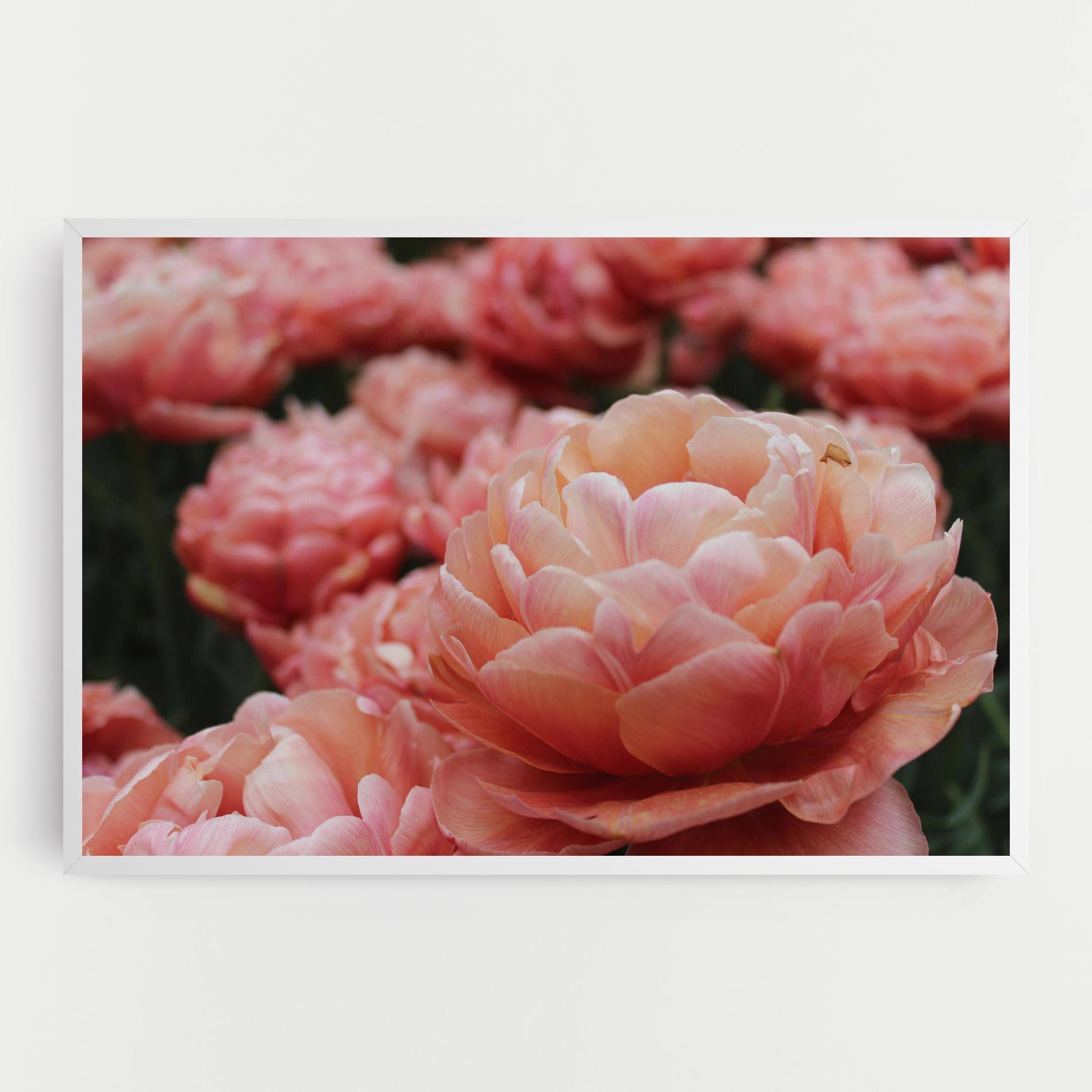 Vászonkép Light Orange Peony mockup 0