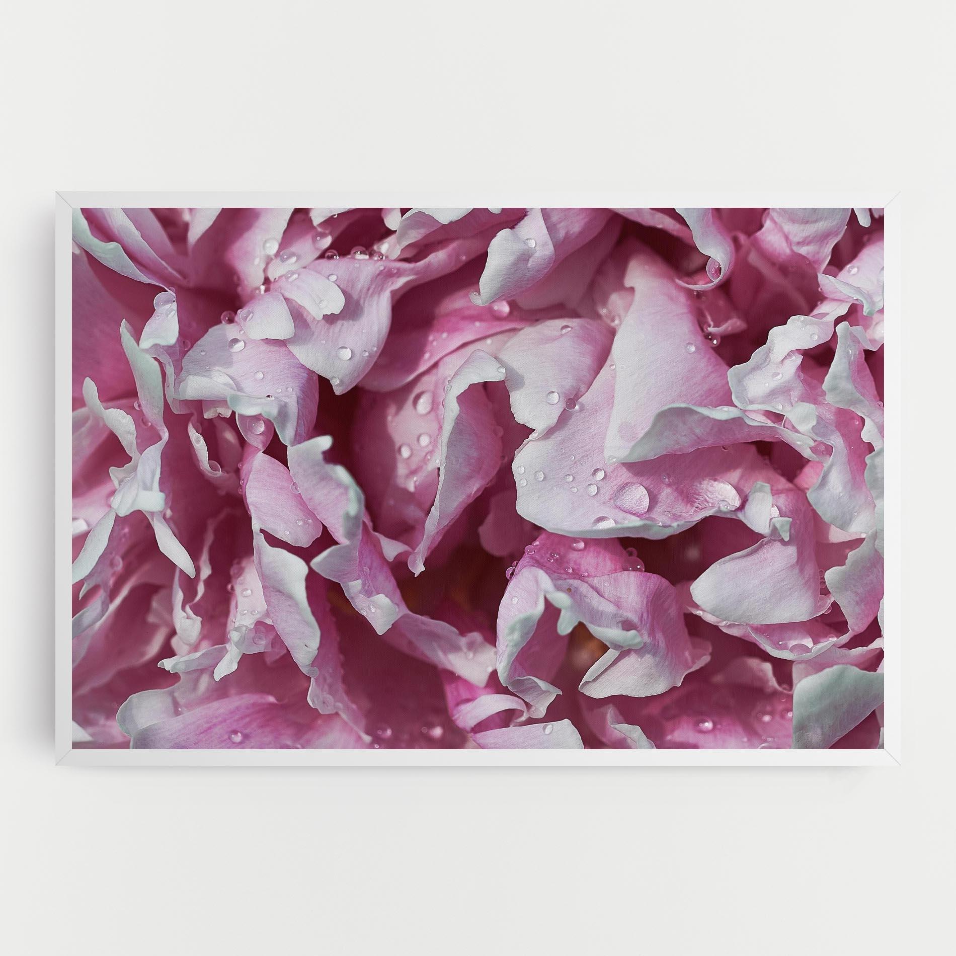 Vászonkép Peony Petals mockup 0