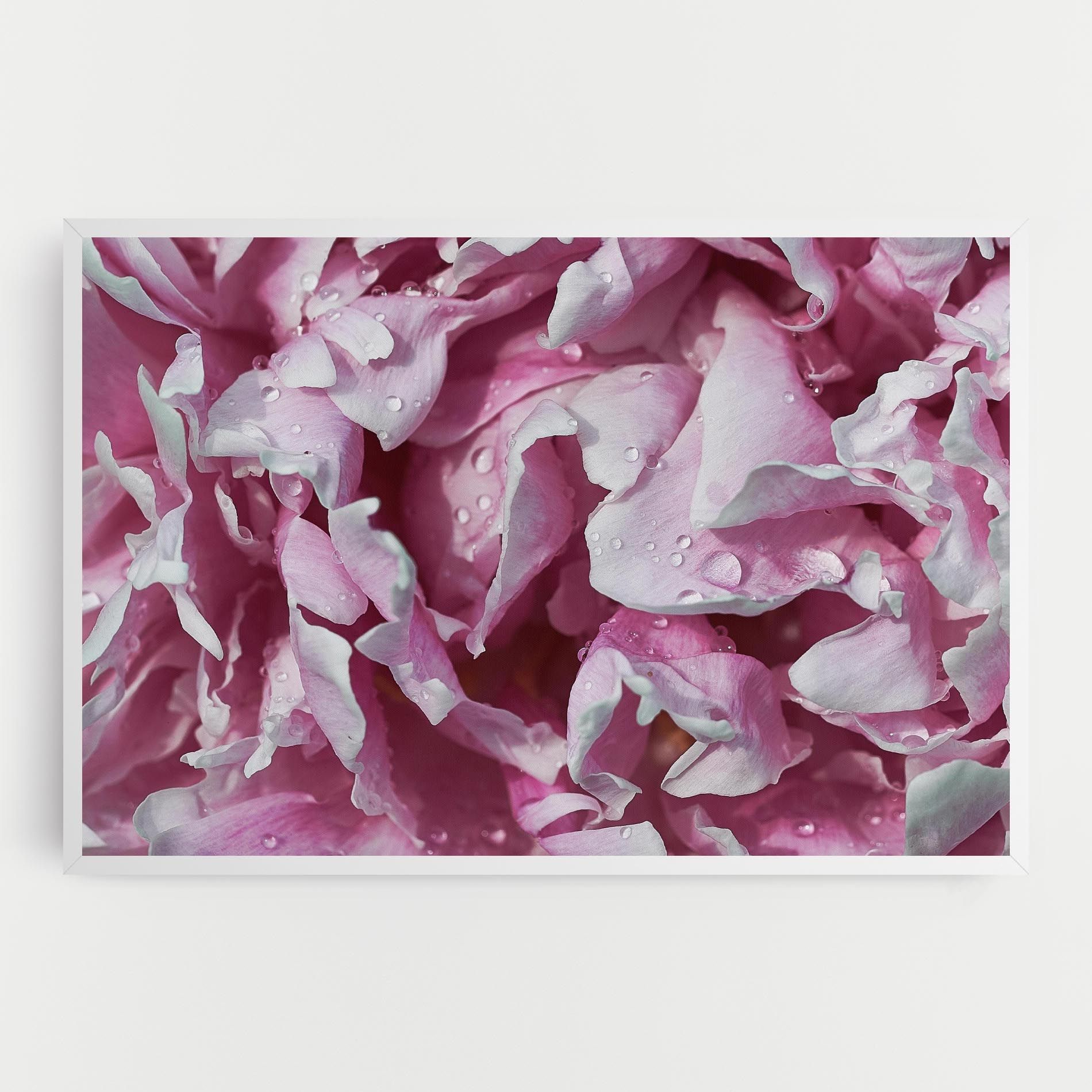 Peony Petals mockup 0