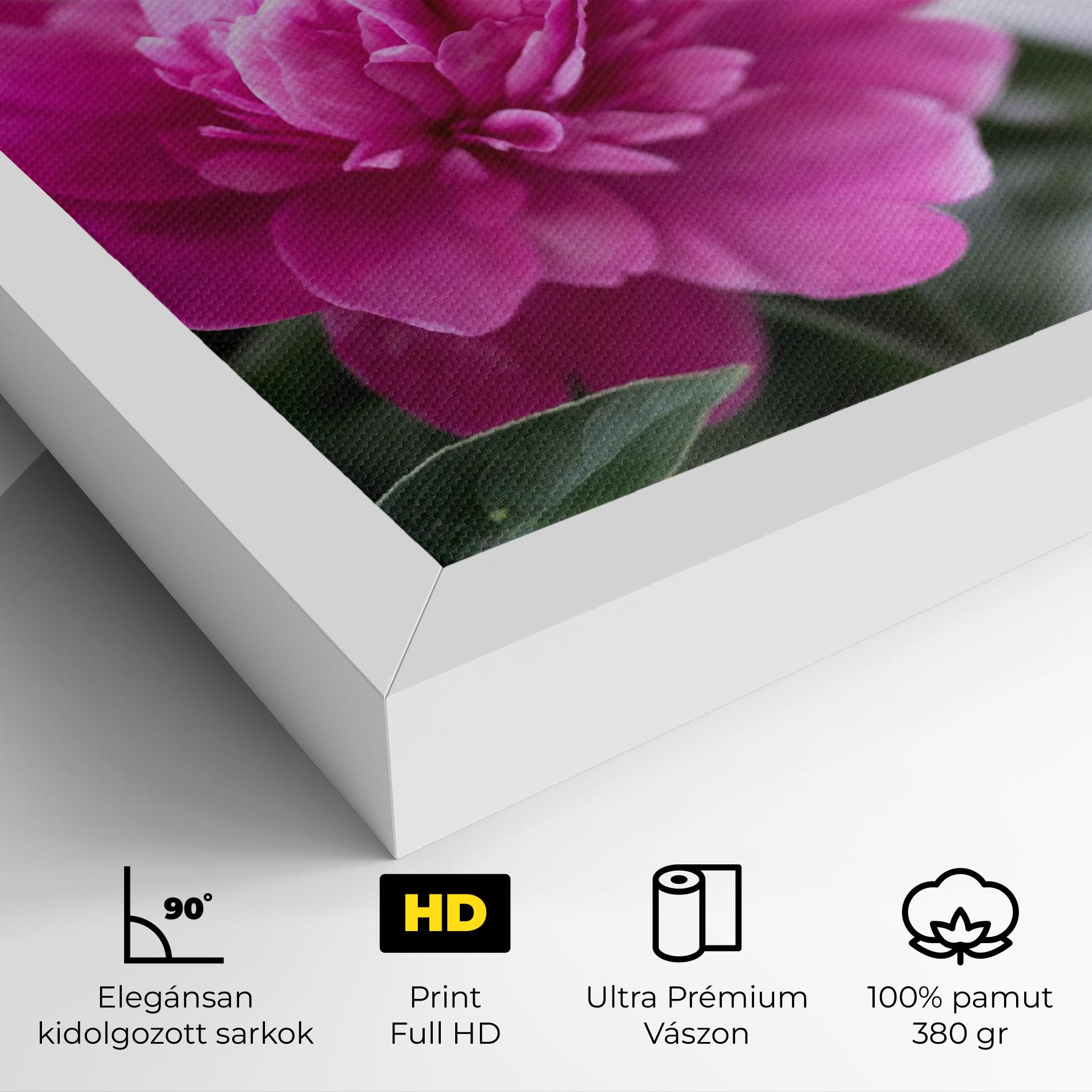 Vászonkép Dark Pink Peony mockup 4