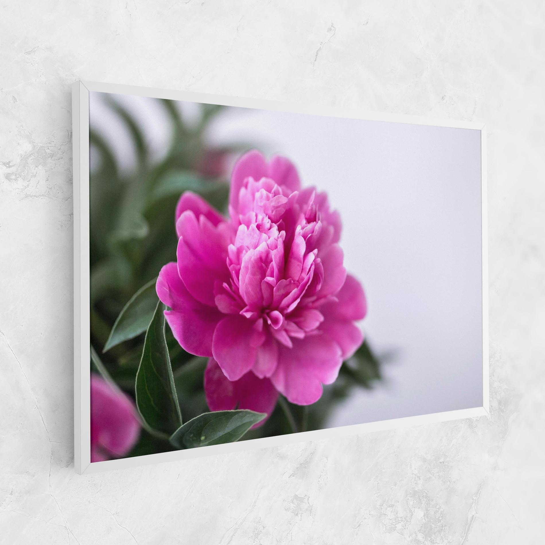 Vászonkép Dark Pink Peony mockup 1