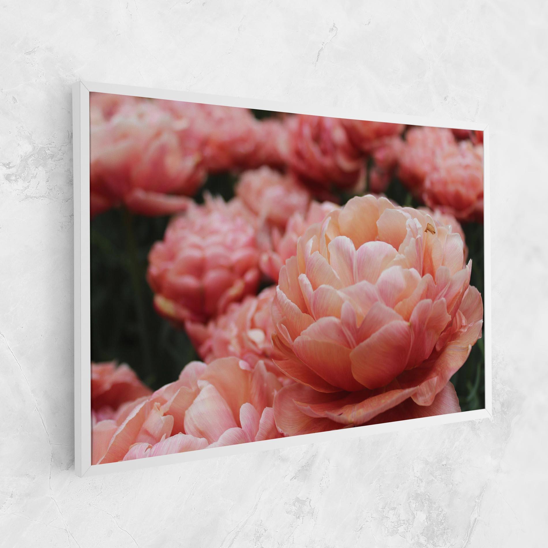 Vászonkép Light Orange Peony mockup 1
