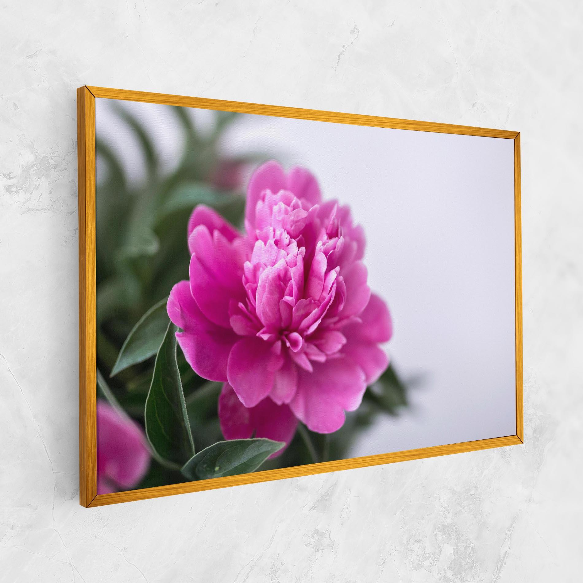 Vászonkép Dark Pink Peony mockup 1