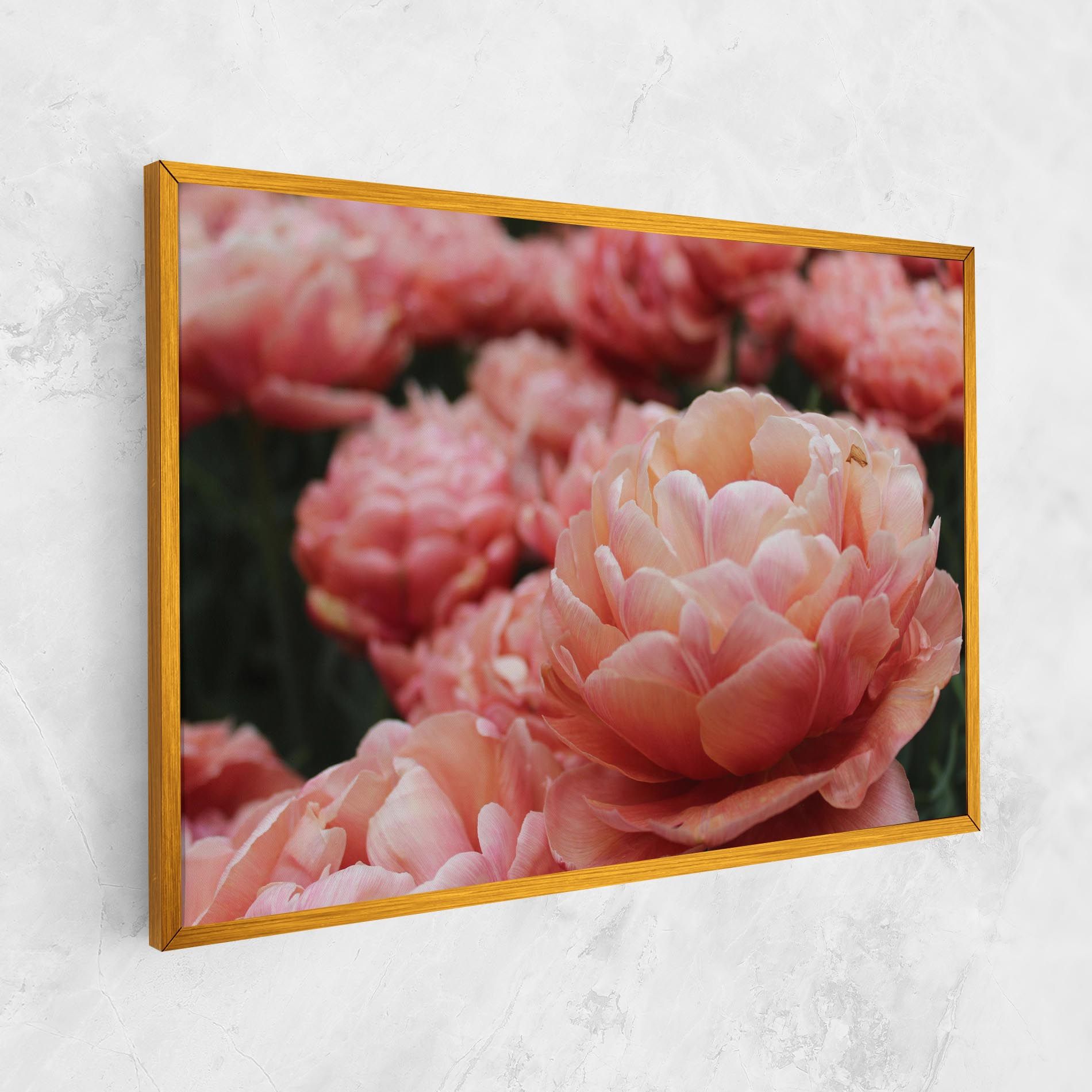 Light Orange Peony mockup 1