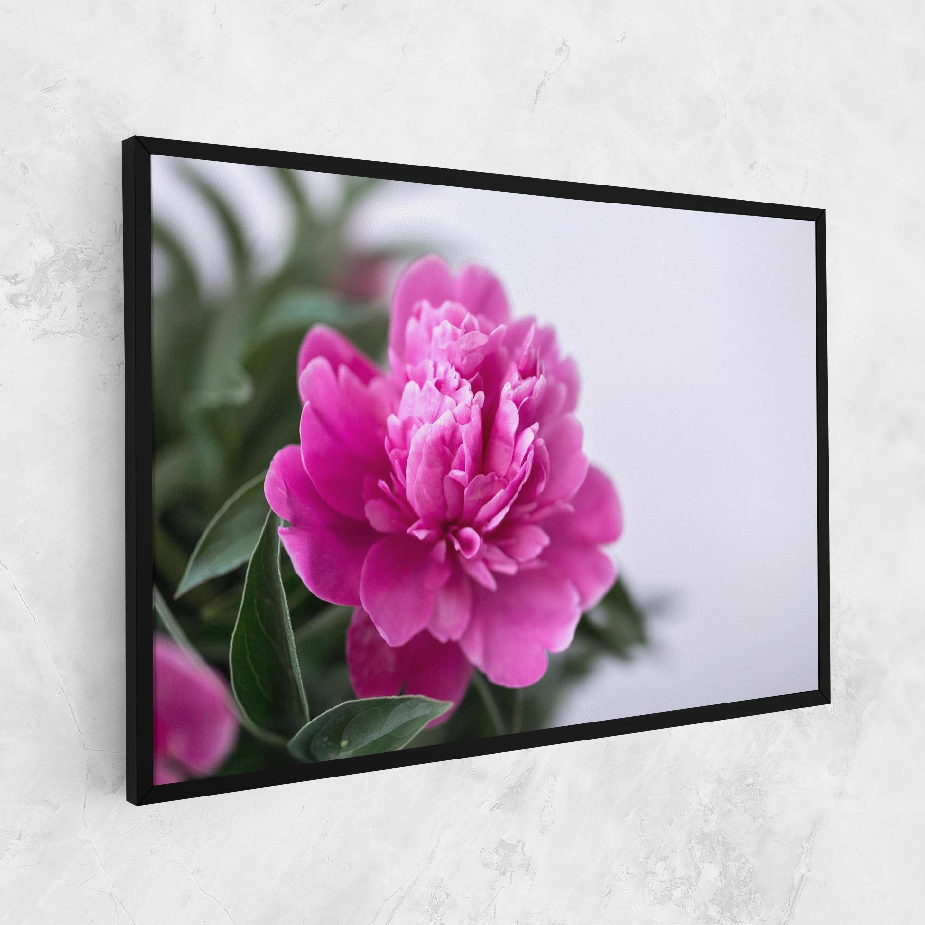 Vászonkép Dark Pink Peony mockup 1