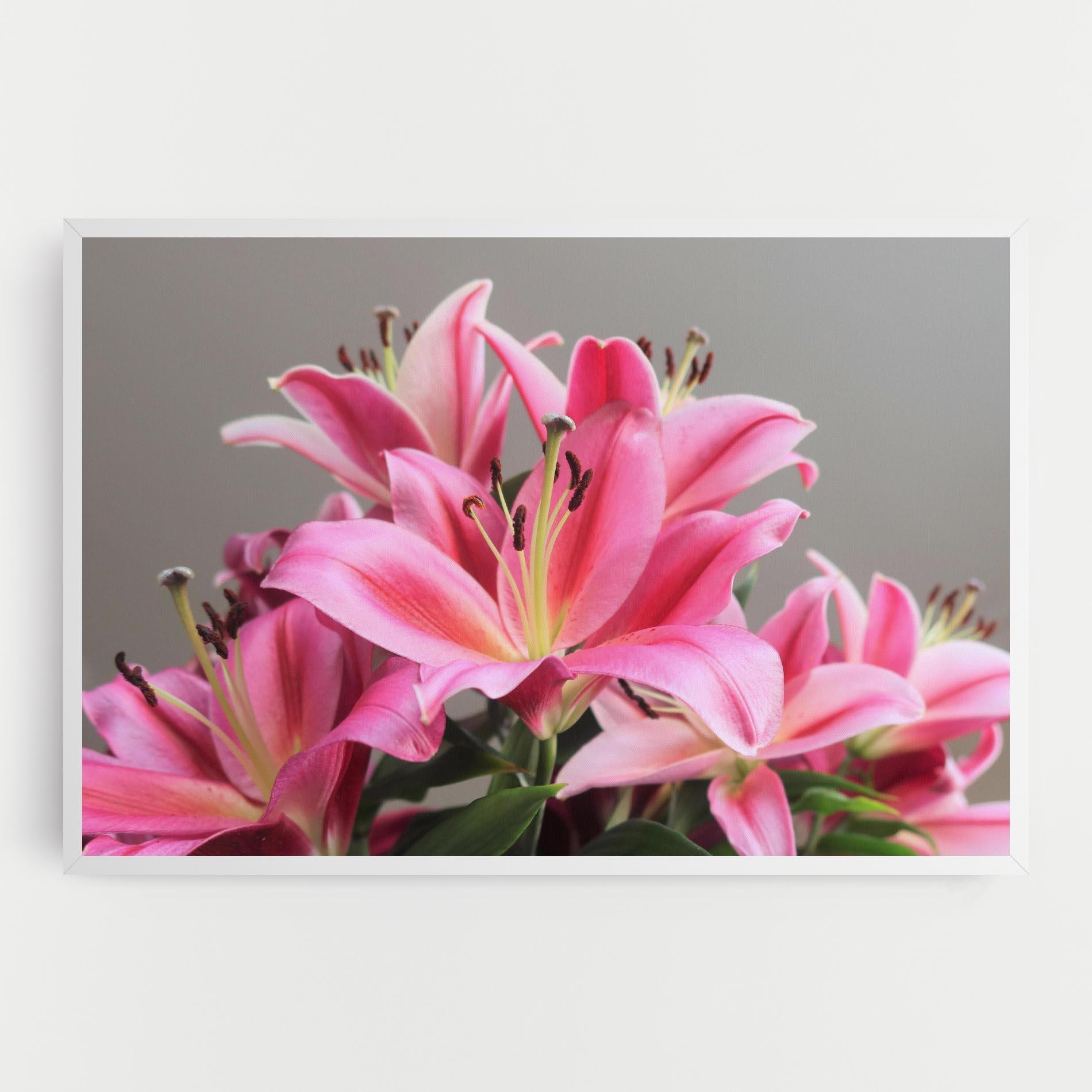 Vászonkép Light Pink Lily View mockup 0