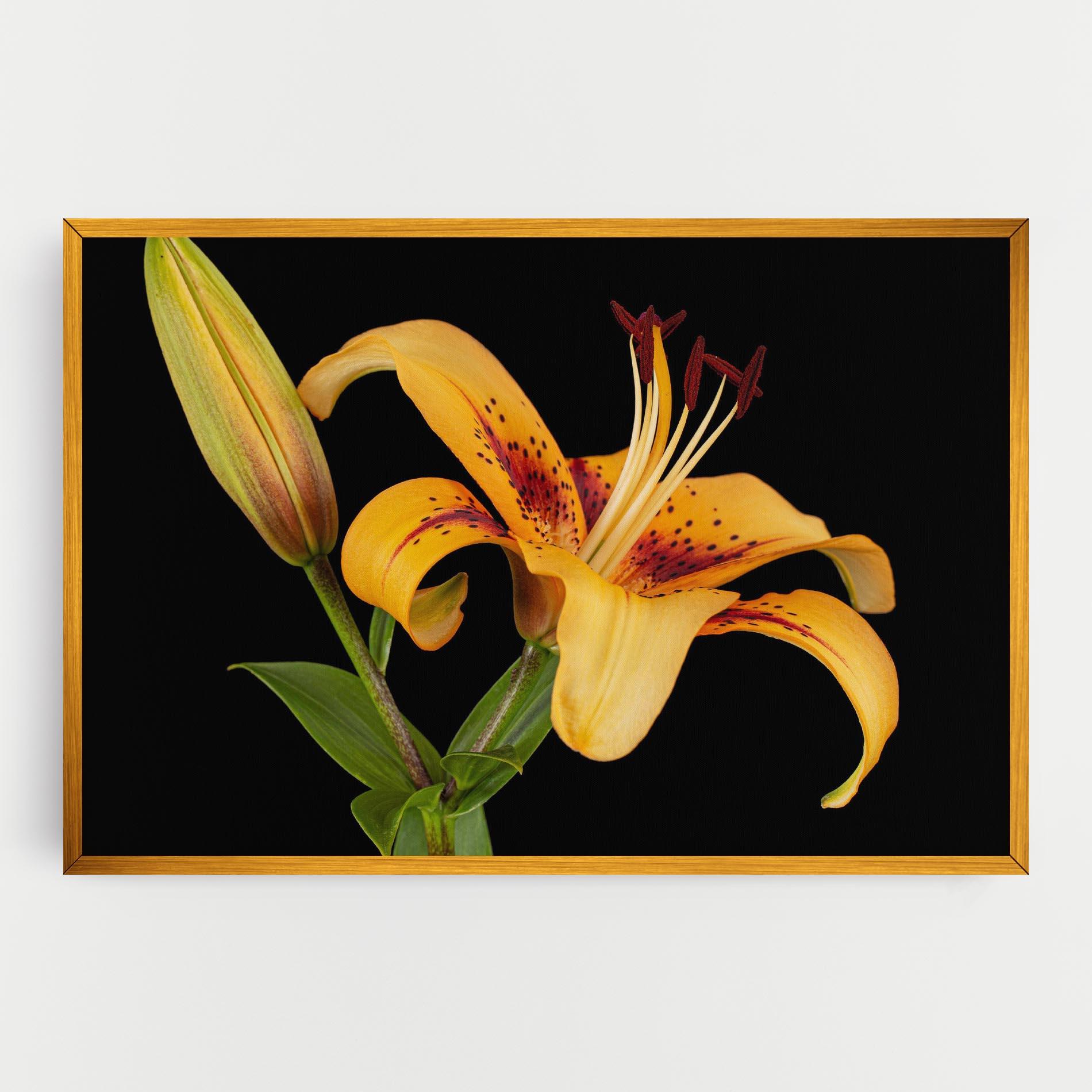 Vászonkép Beautiful Yellow Lily mockup 0