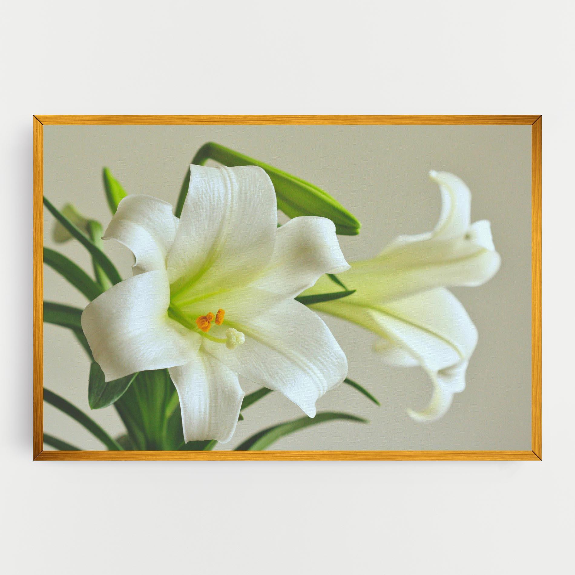 Vászonkép Green Lily mockup 0