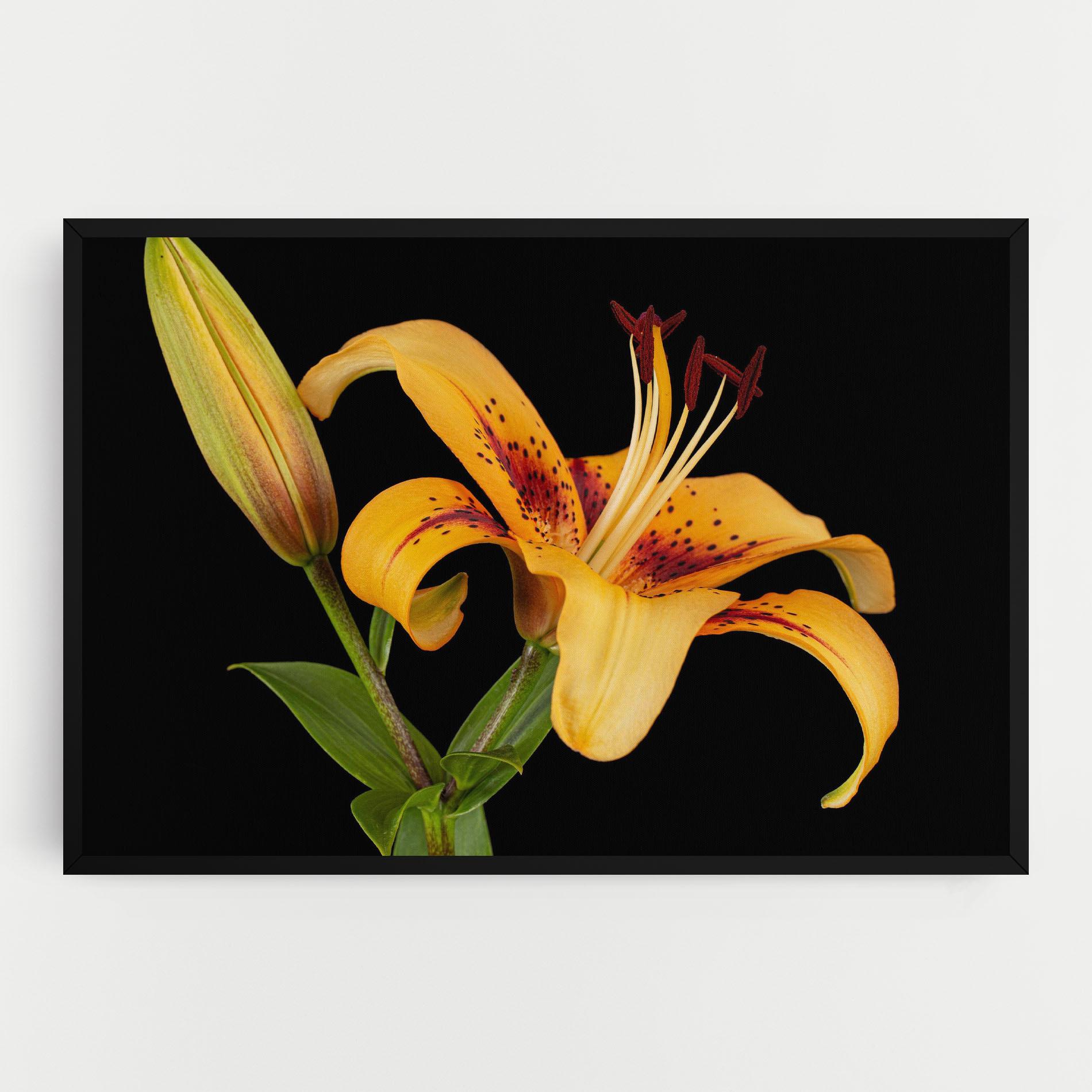 Vászonkép Beautiful Yellow Lily mockup 0