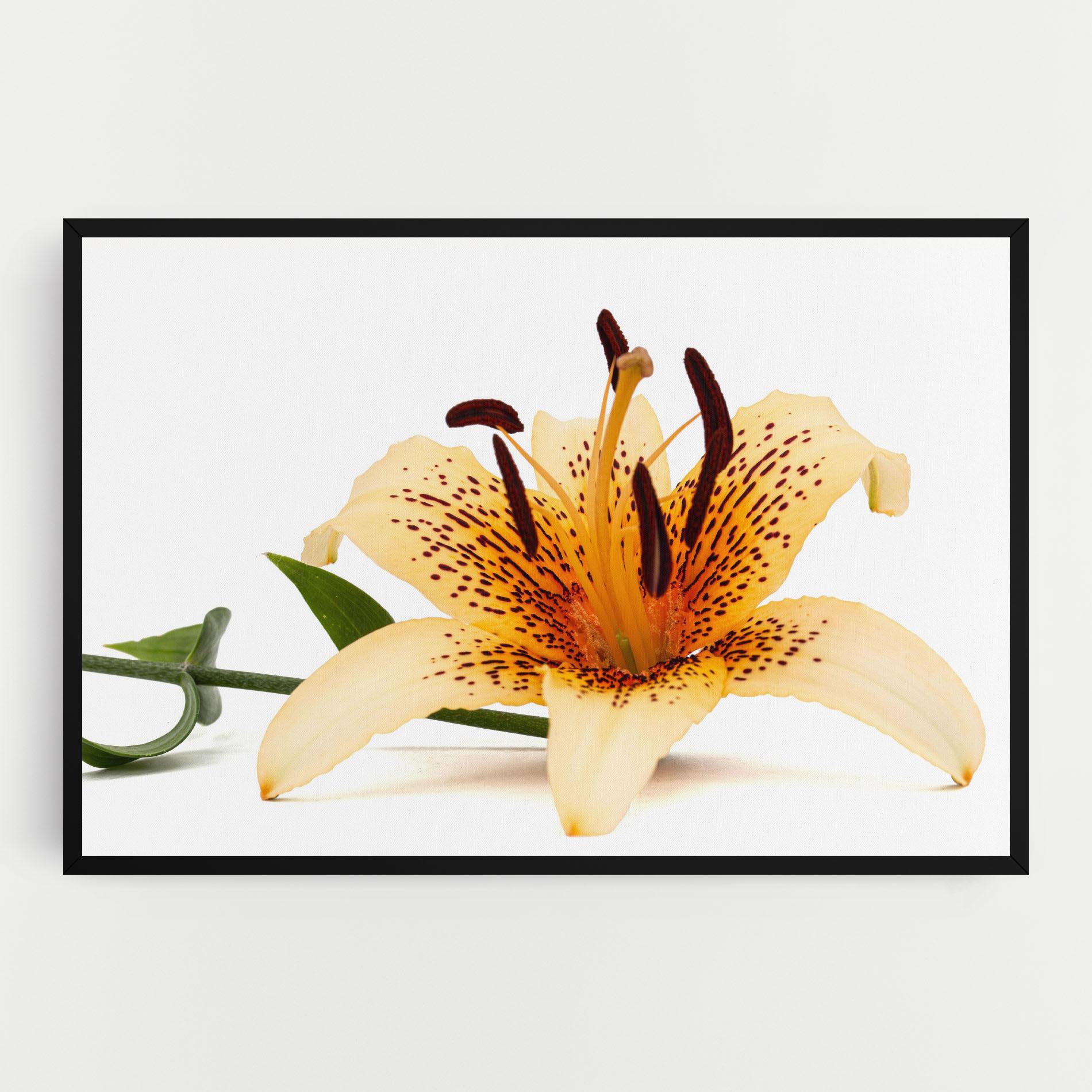 Vászonkép Big Yellow Lily mockup 0