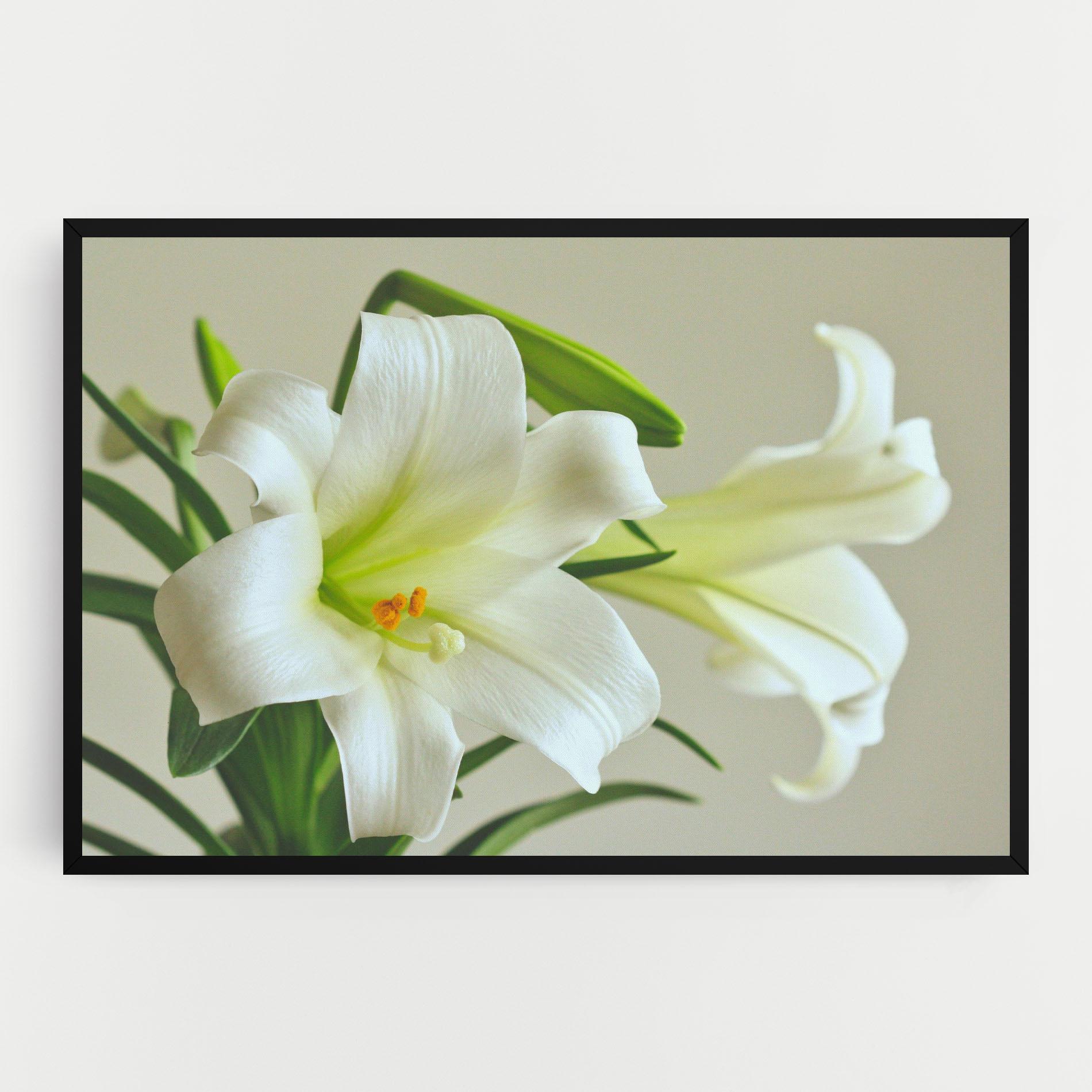 Vászonkép Green Lily mockup 0