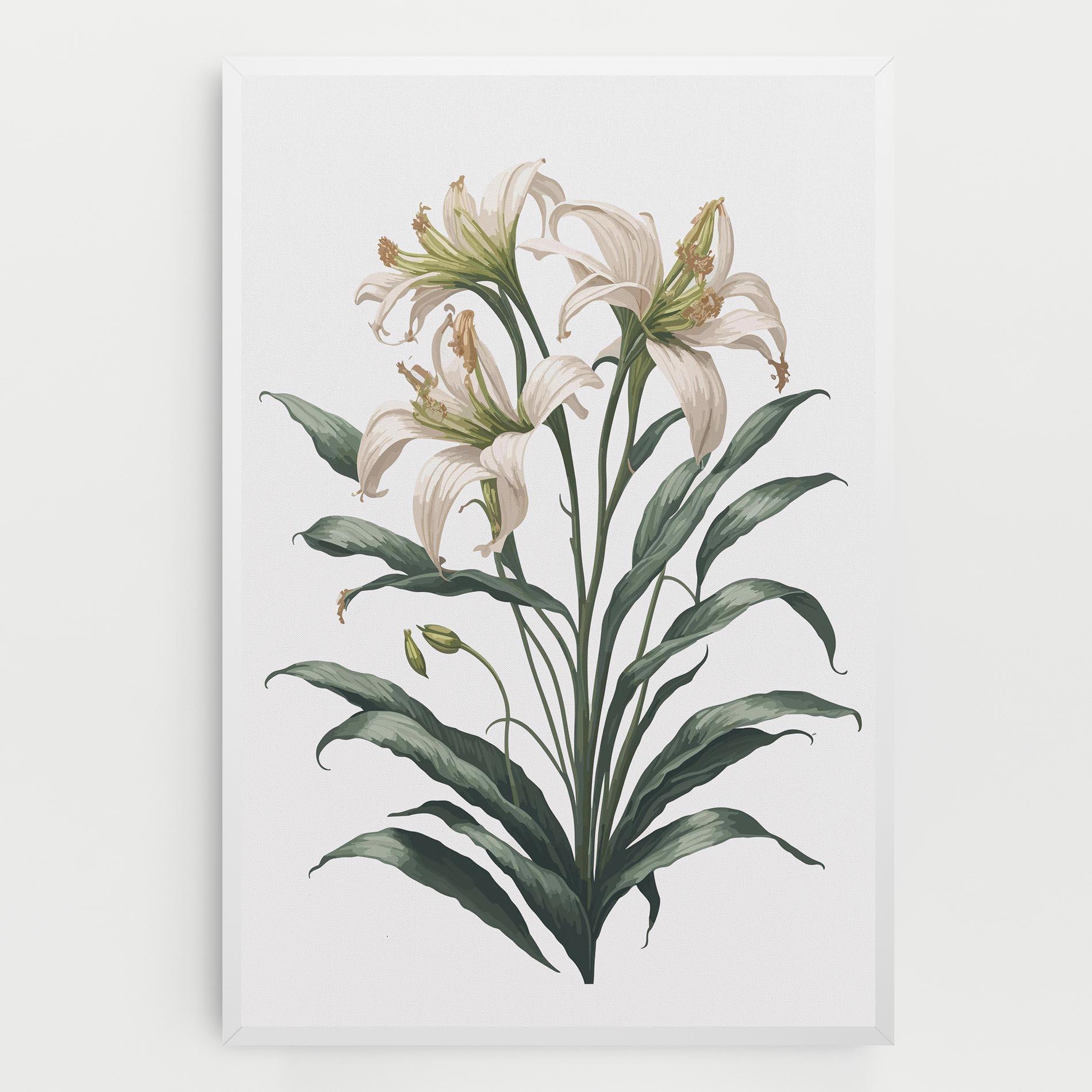 Vászonkép Columbia Lily mockup 0