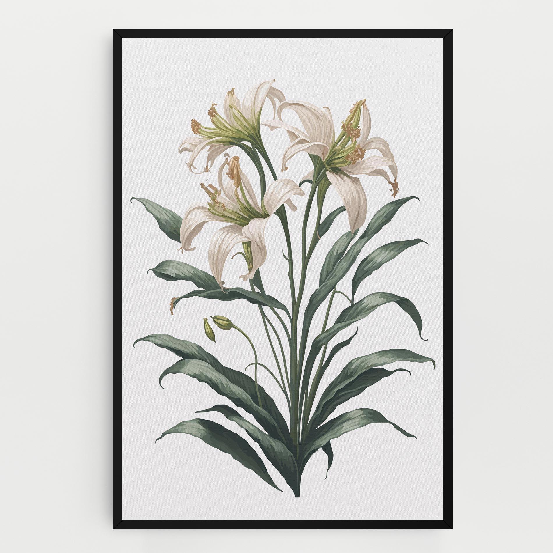 Vászonkép Columbia Lily mockup 0