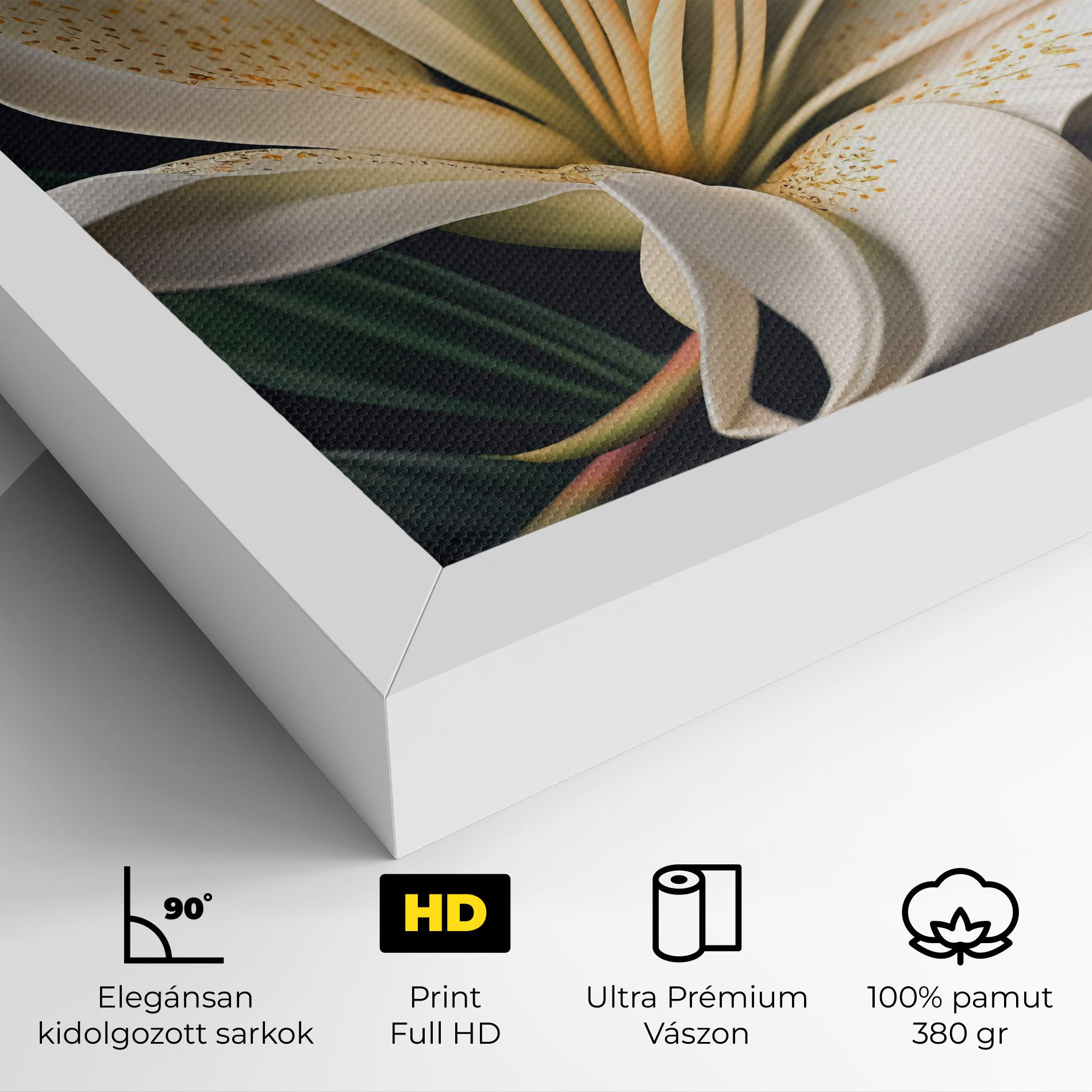 Big Lily View mockup 4