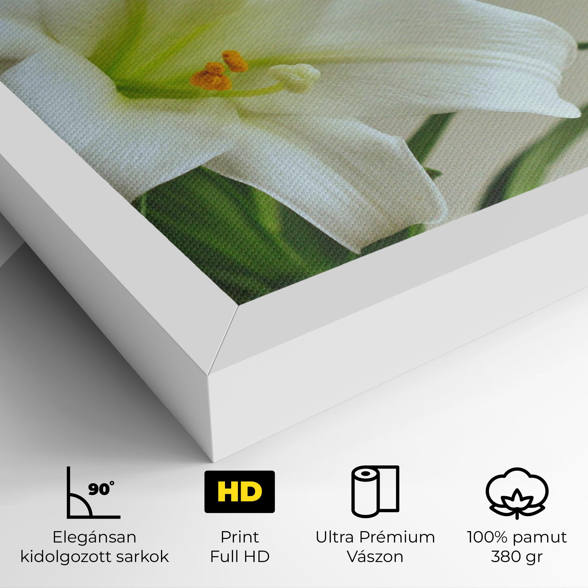 Vászonkép Green Lily mockup 4