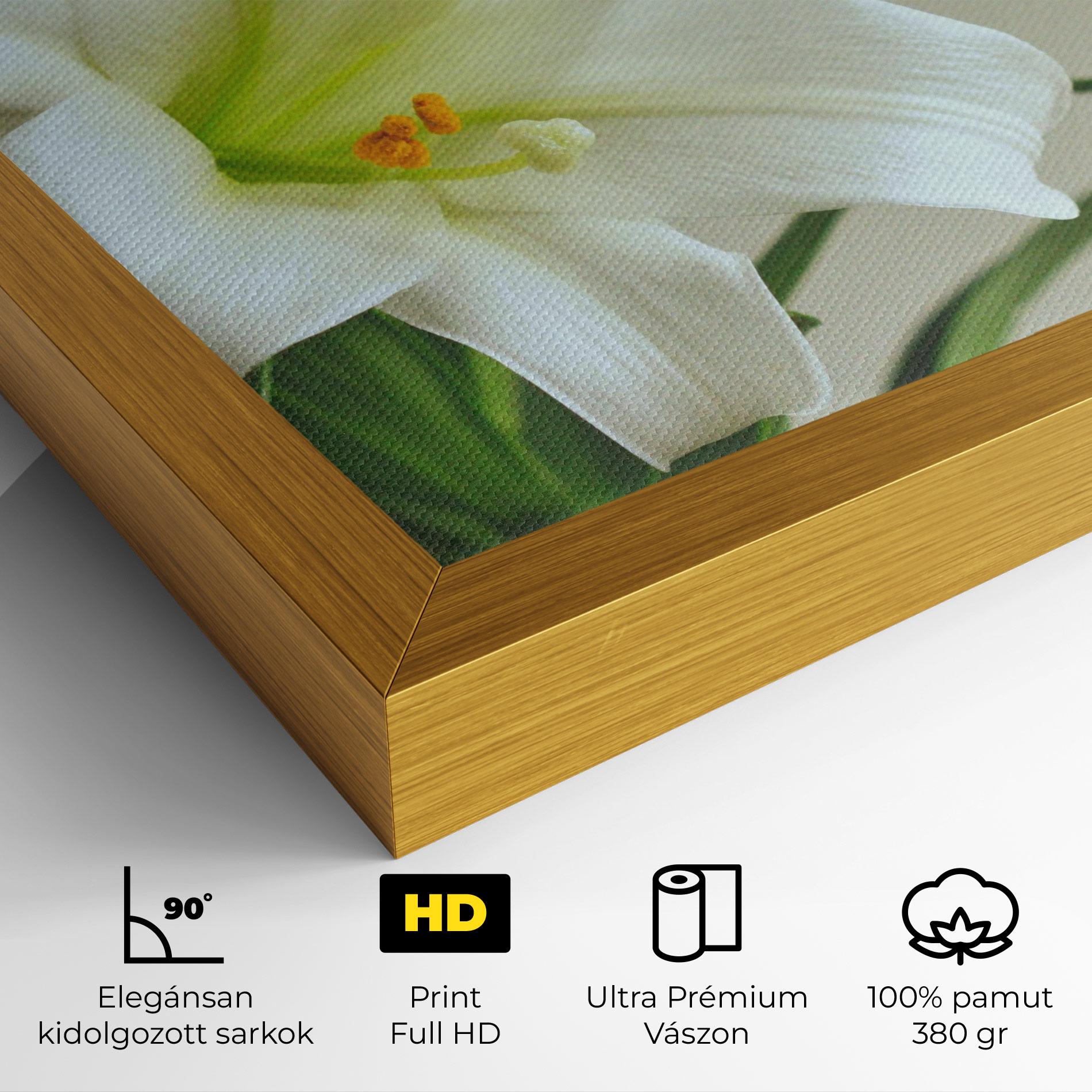Vászonkép Green Lily mockup 4