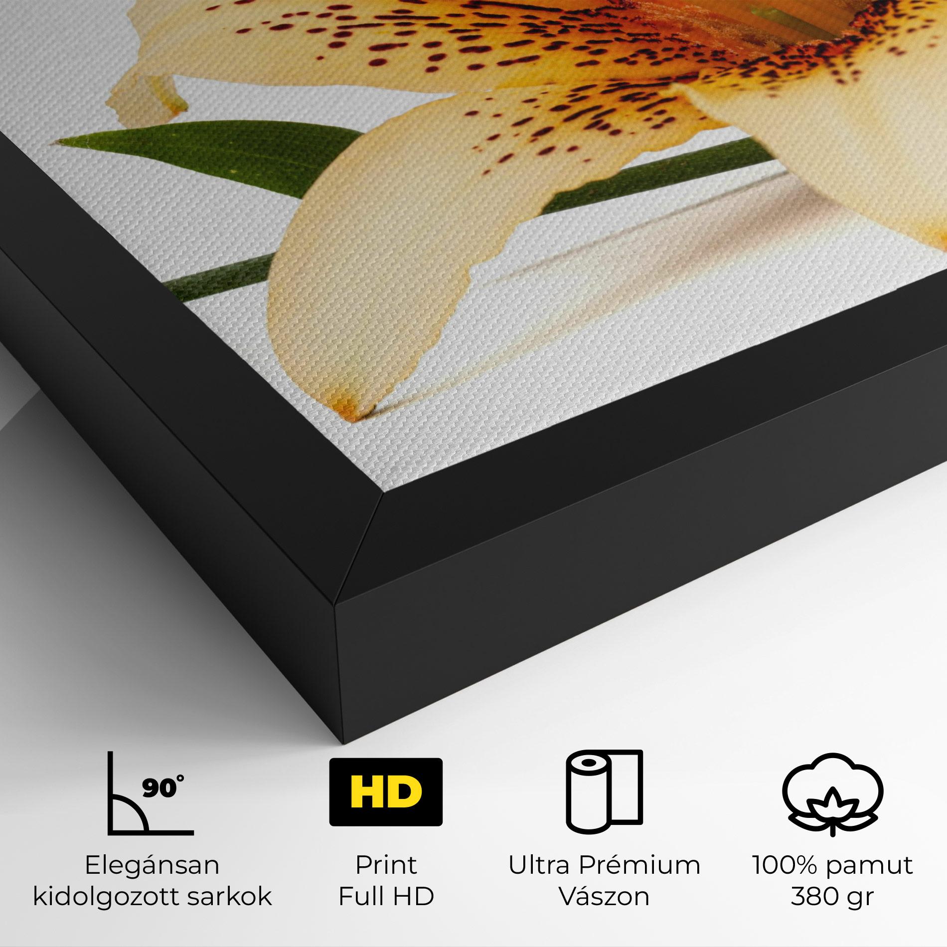 Vászonkép Big Yellow Lily mockup 4