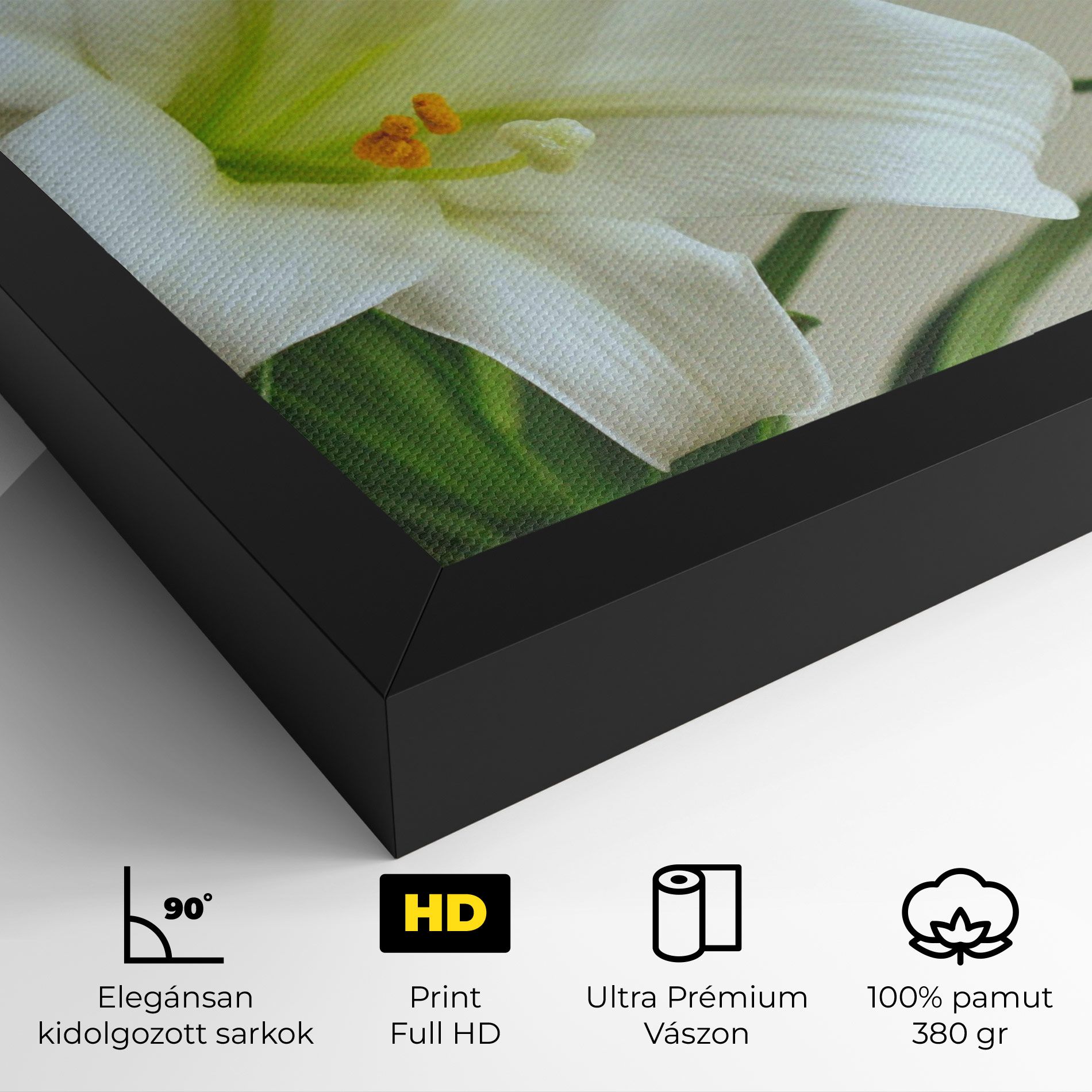 Green Lily mockup 4