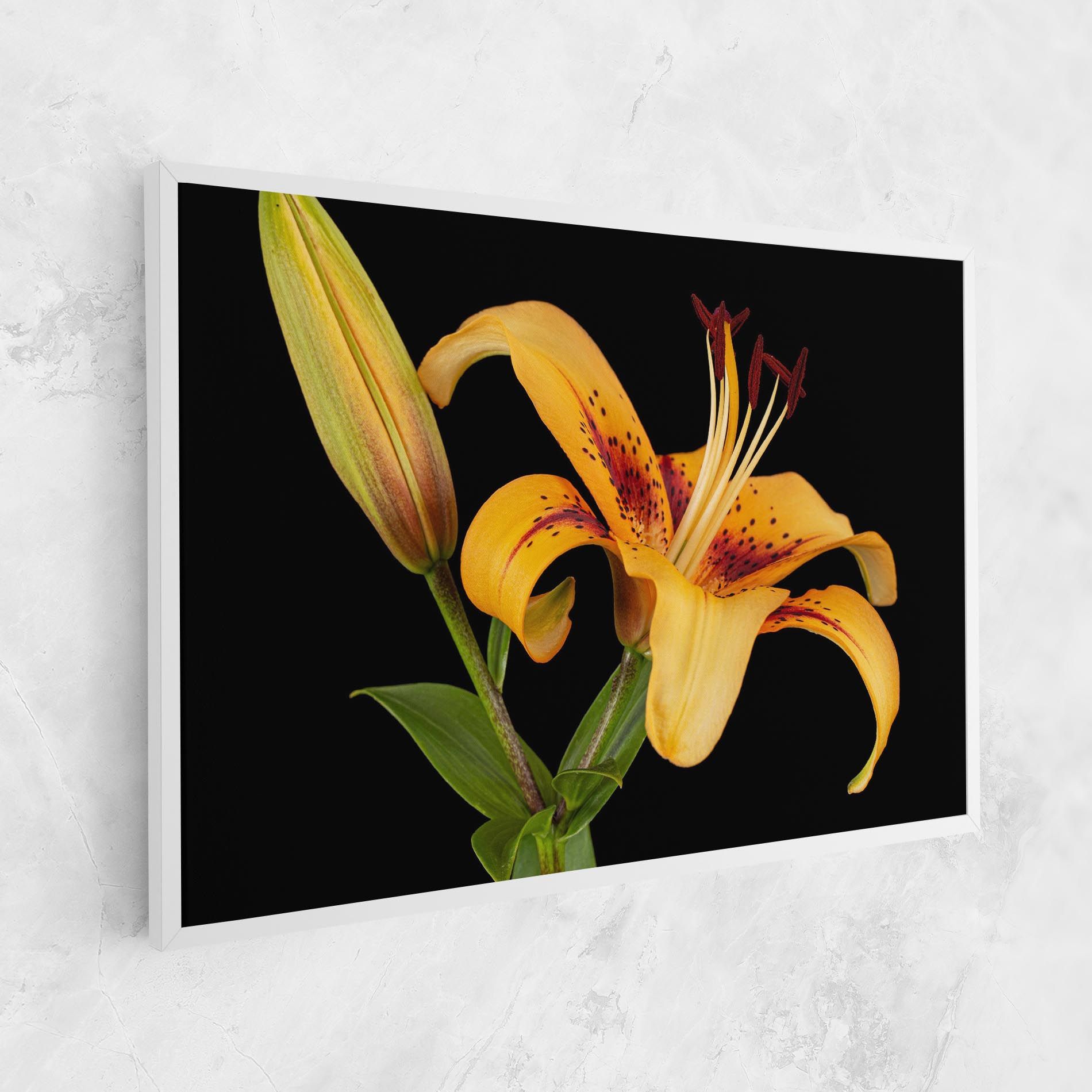 Beautiful Yellow Lily mockup 1