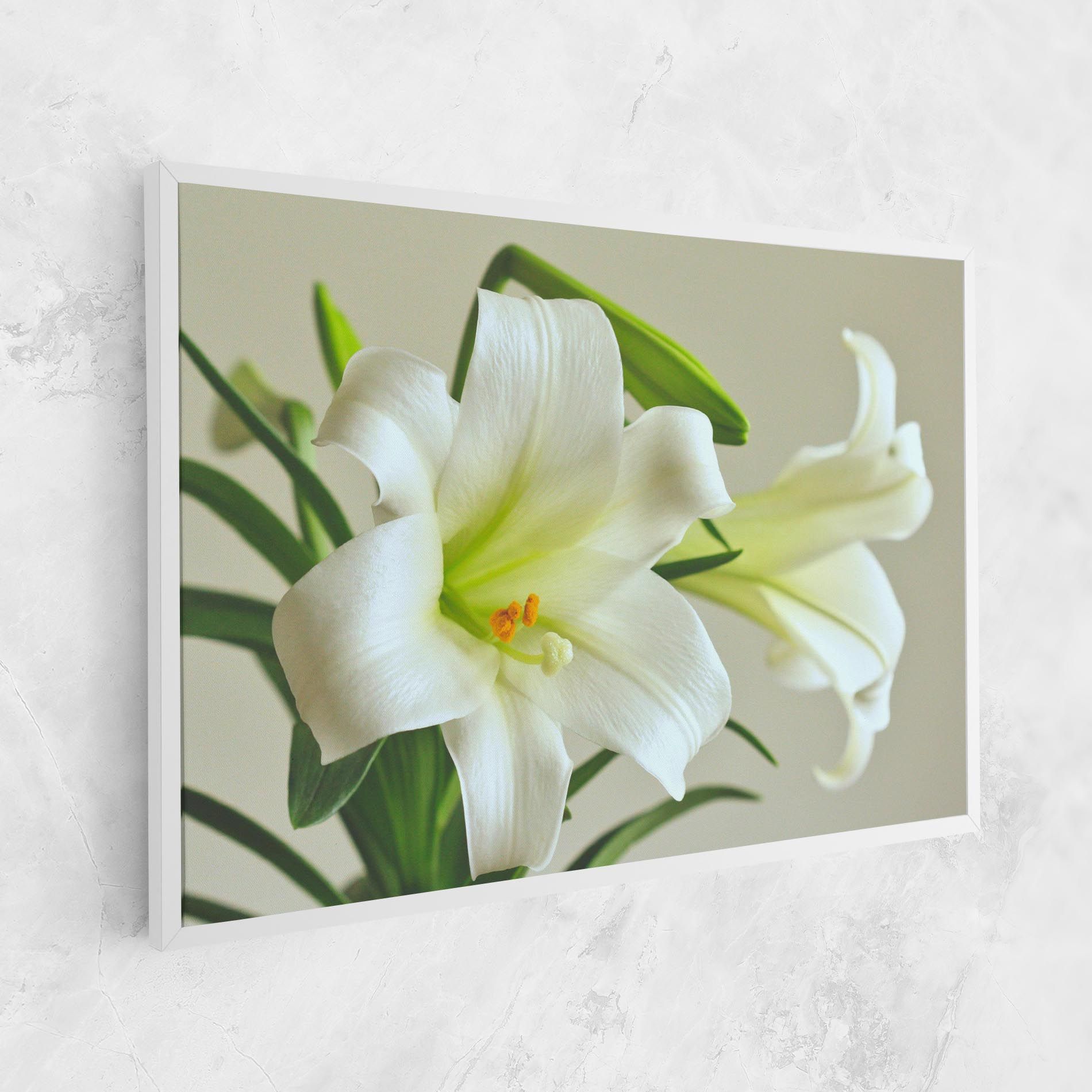 Green Lily mockup 1