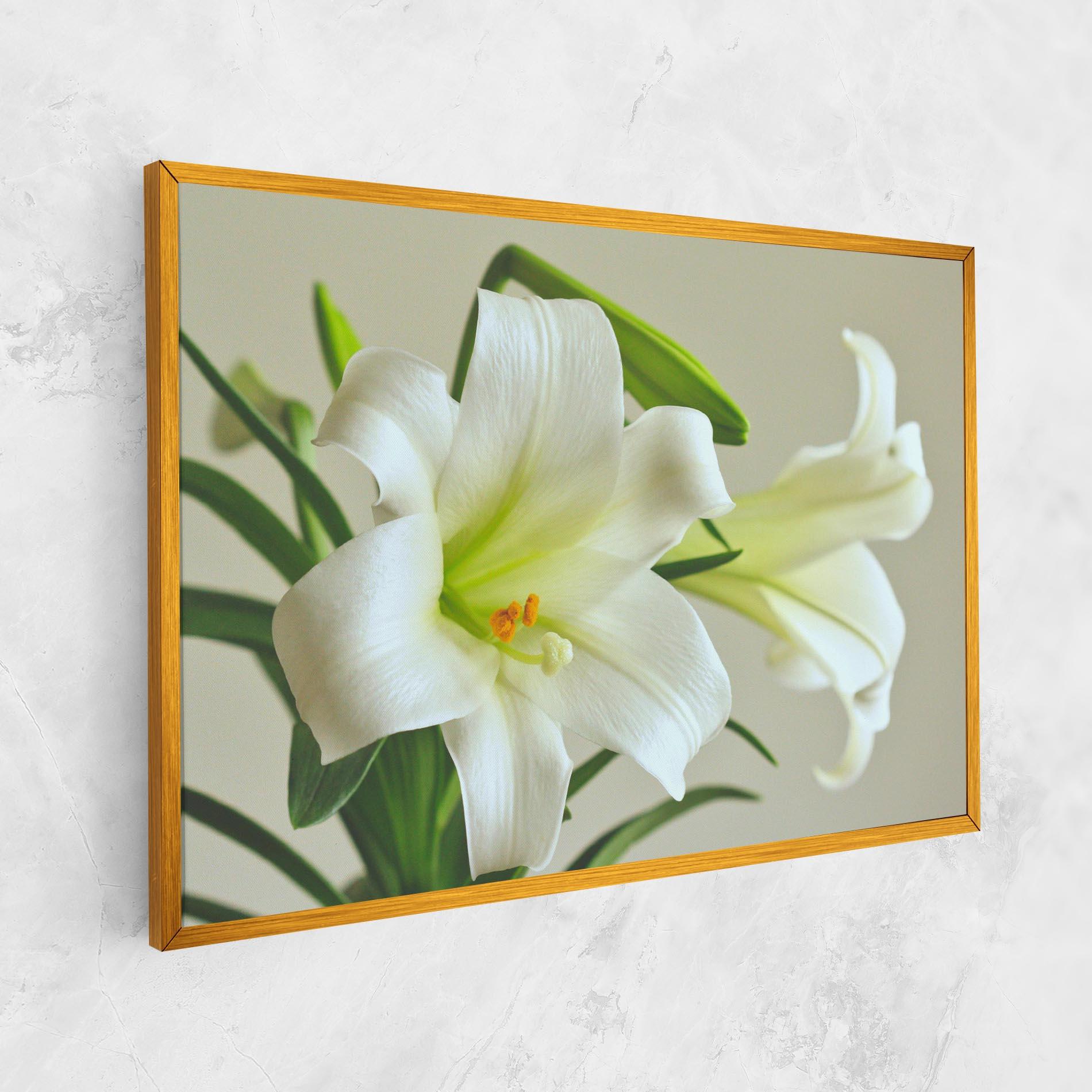 Vászonkép Green Lily mockup 1
