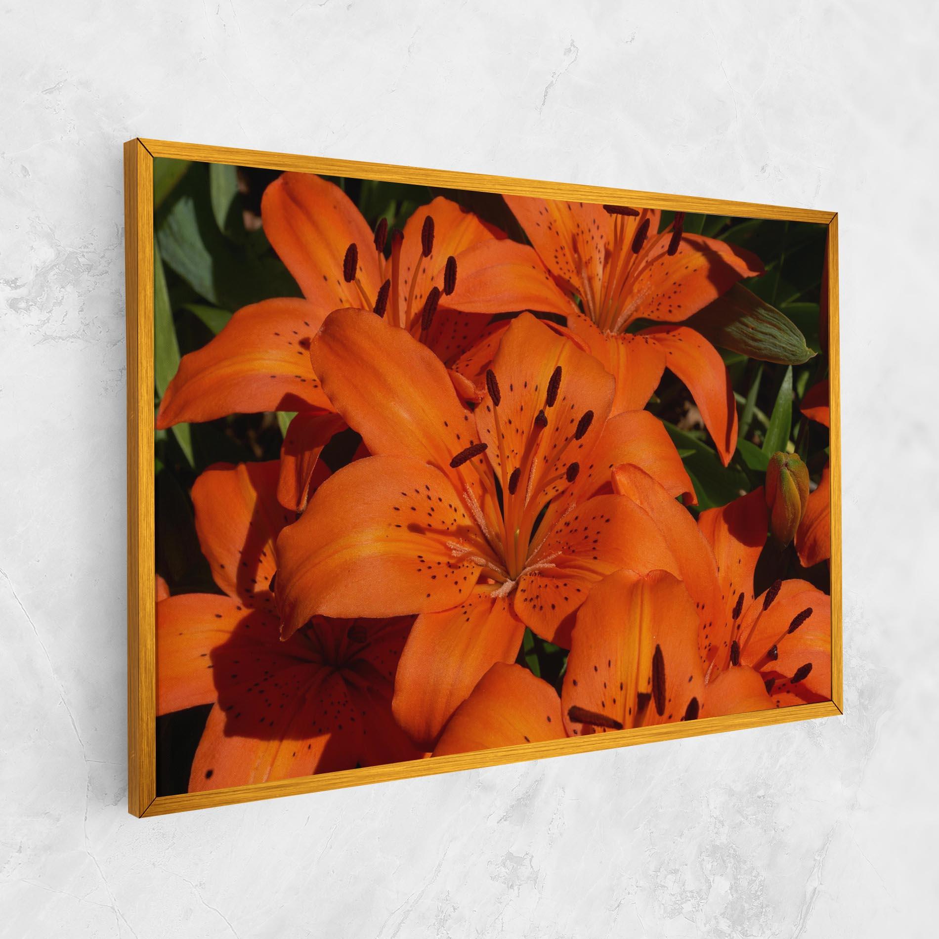 Vászonkép Orange Lily In The Sun mockup 1