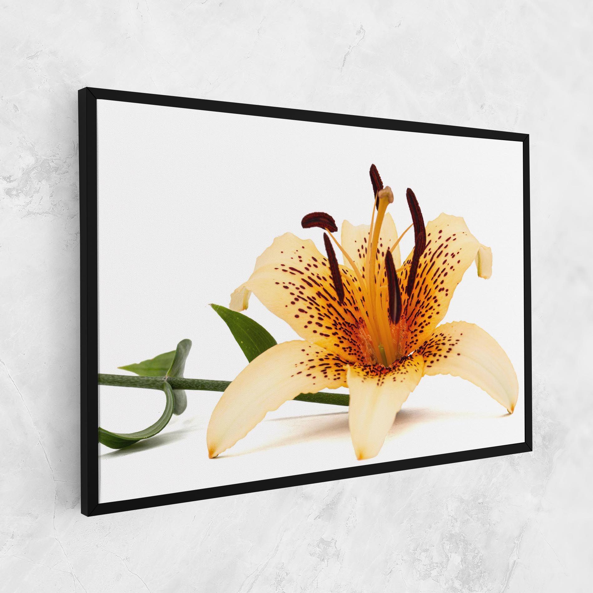 Big Yellow Lily mockup 1