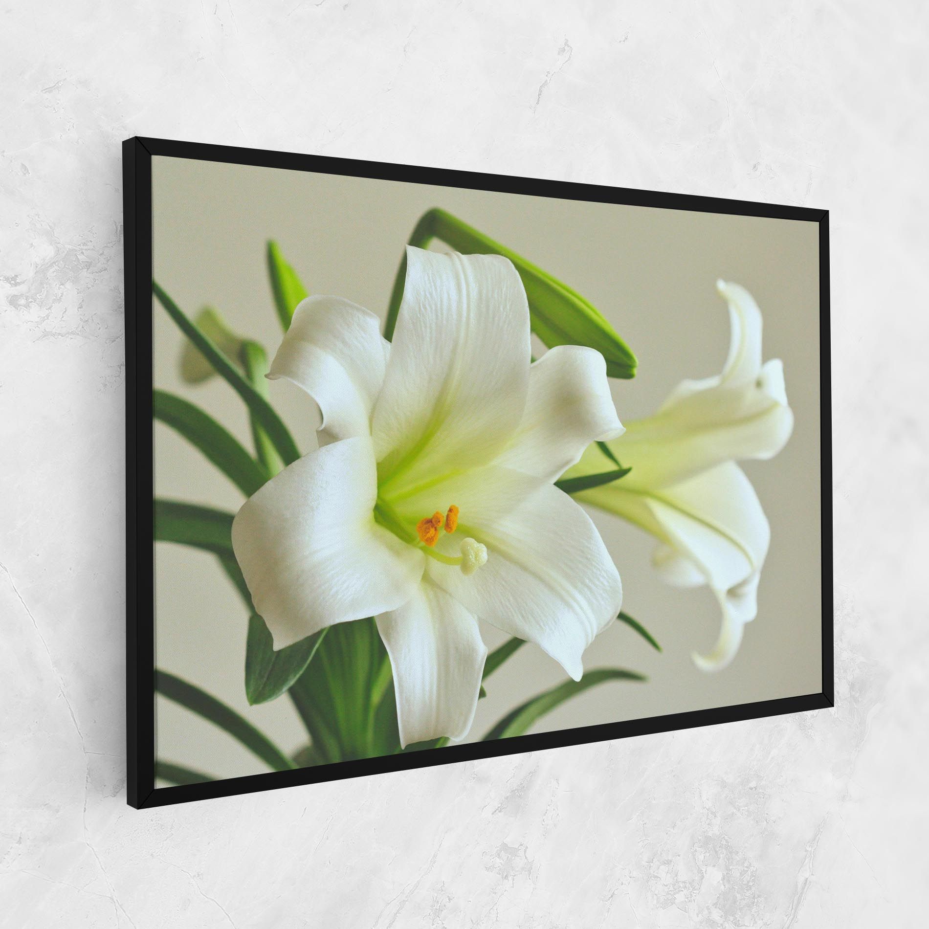 Green Lily mockup 1