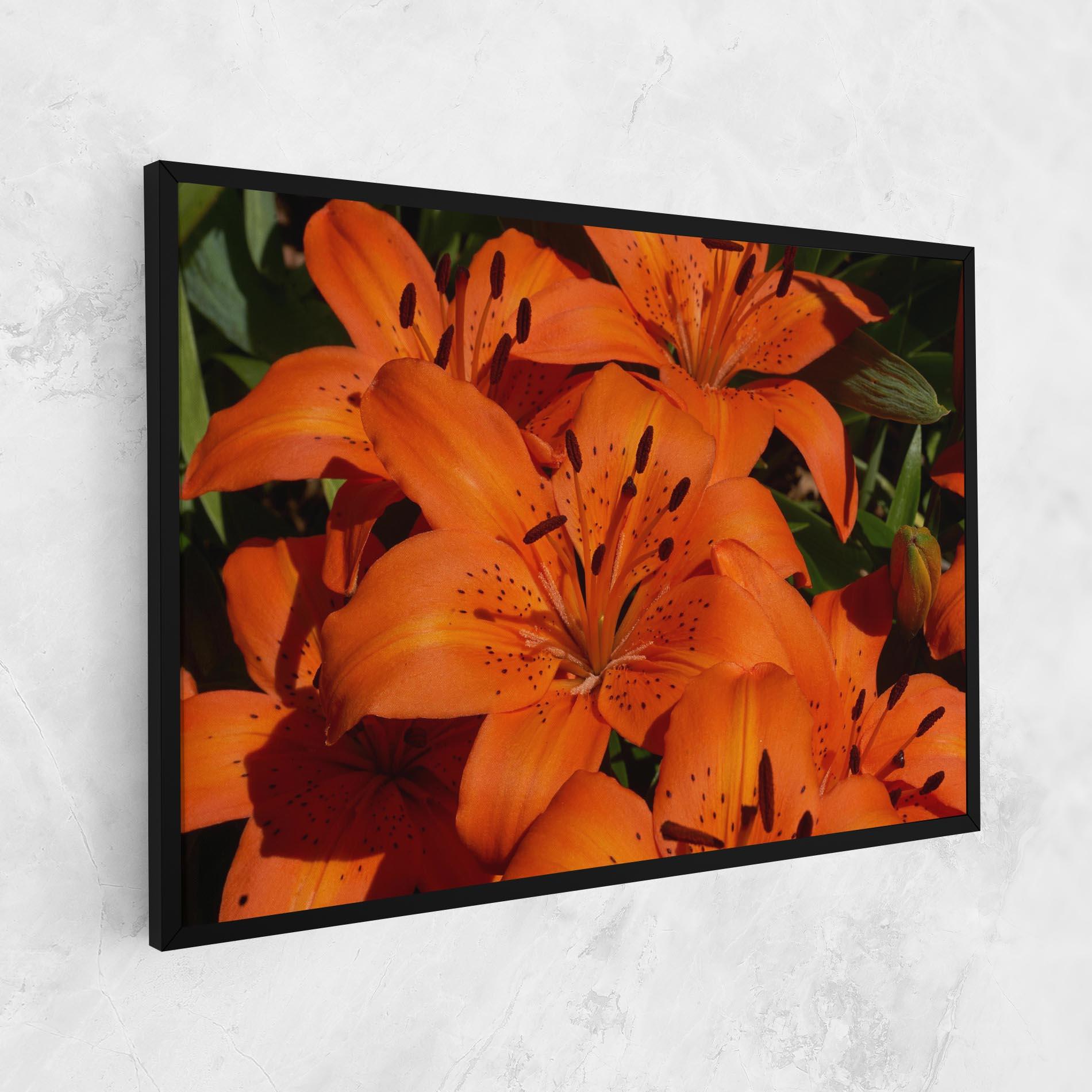 Vászonkép Orange Lily In The Sun mockup 1