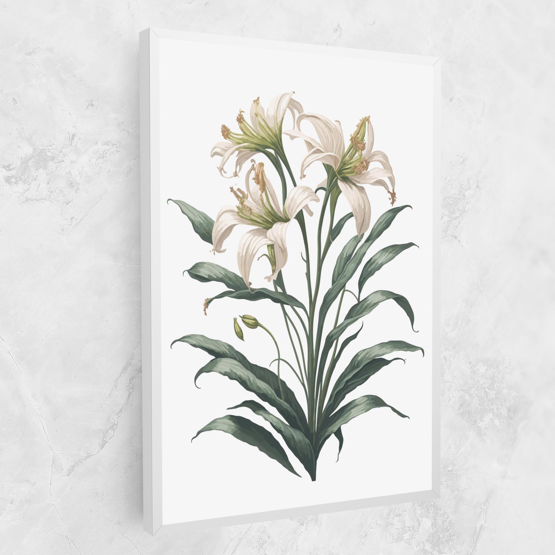 Vászonkép Columbia Lily mockup 1