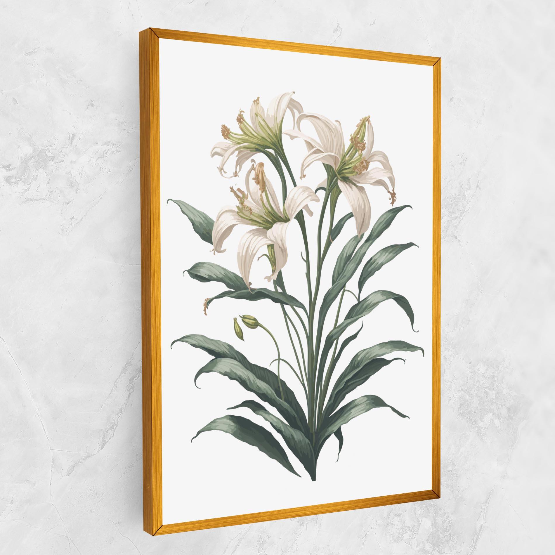Vászonkép Columbia Lily mockup 1