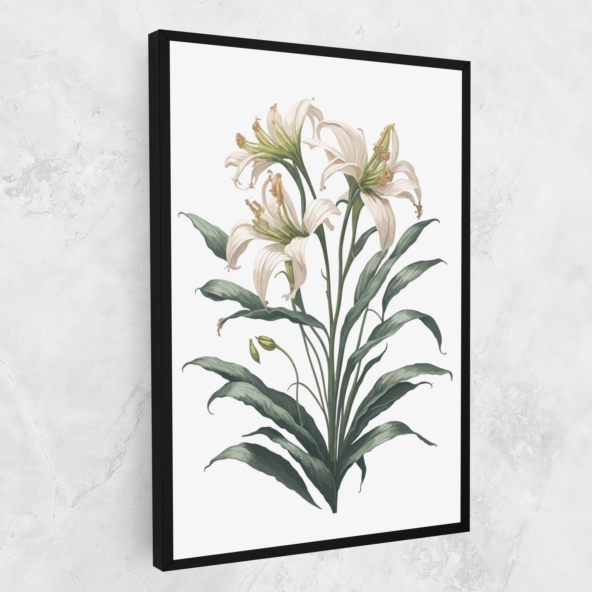 Vászonkép Columbia Lily mockup 1